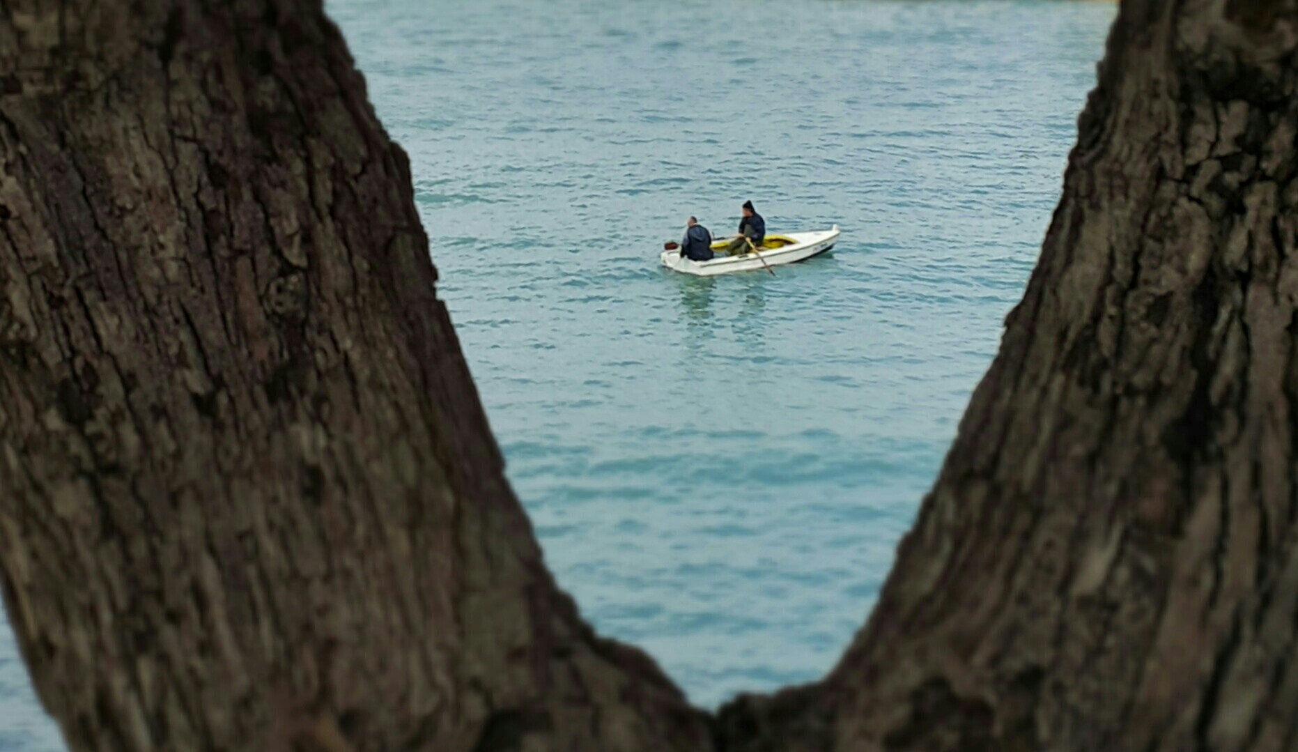 Free Unsplash photo from Simon Khoury