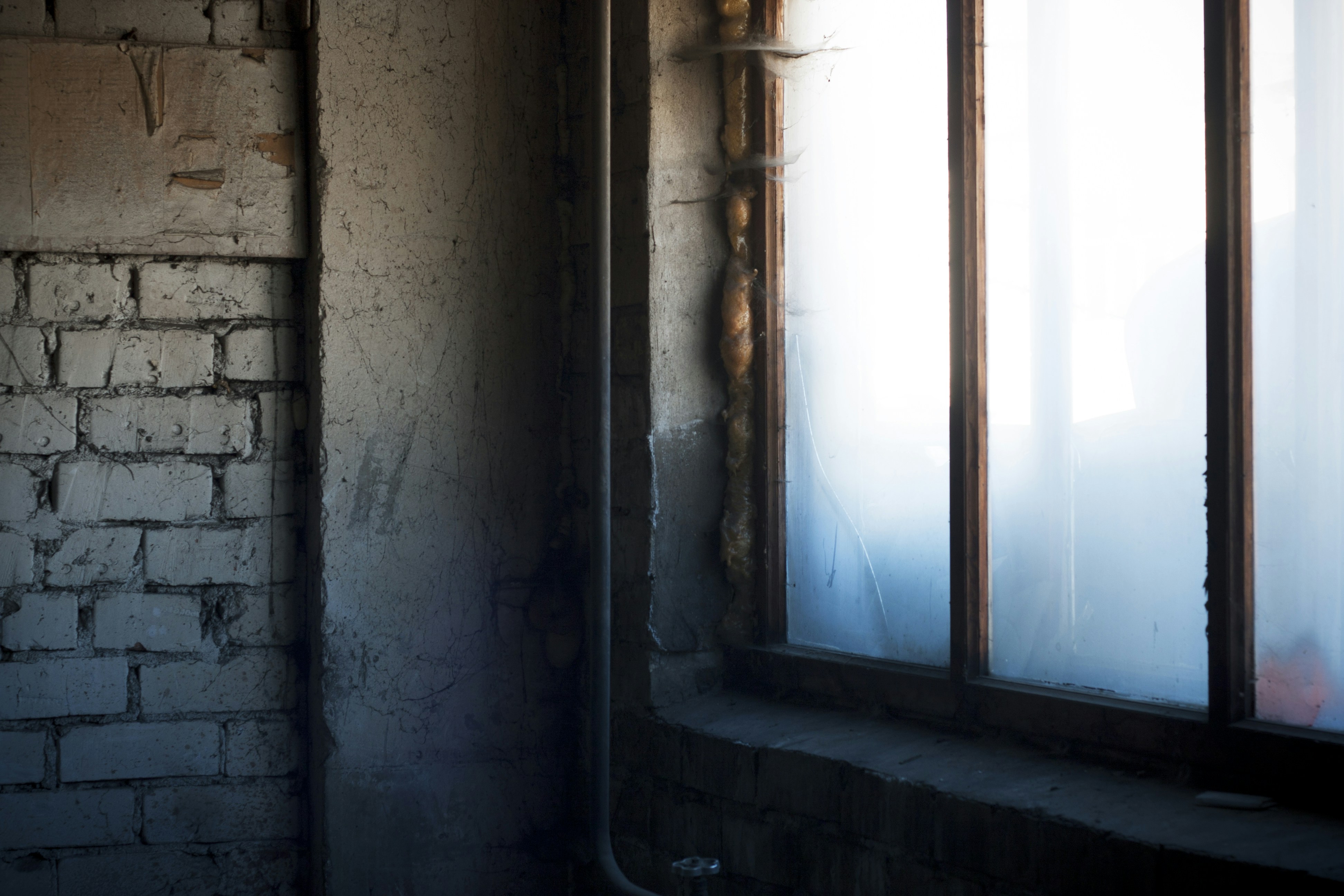 Free Unsplash photo from Maria  Pranka