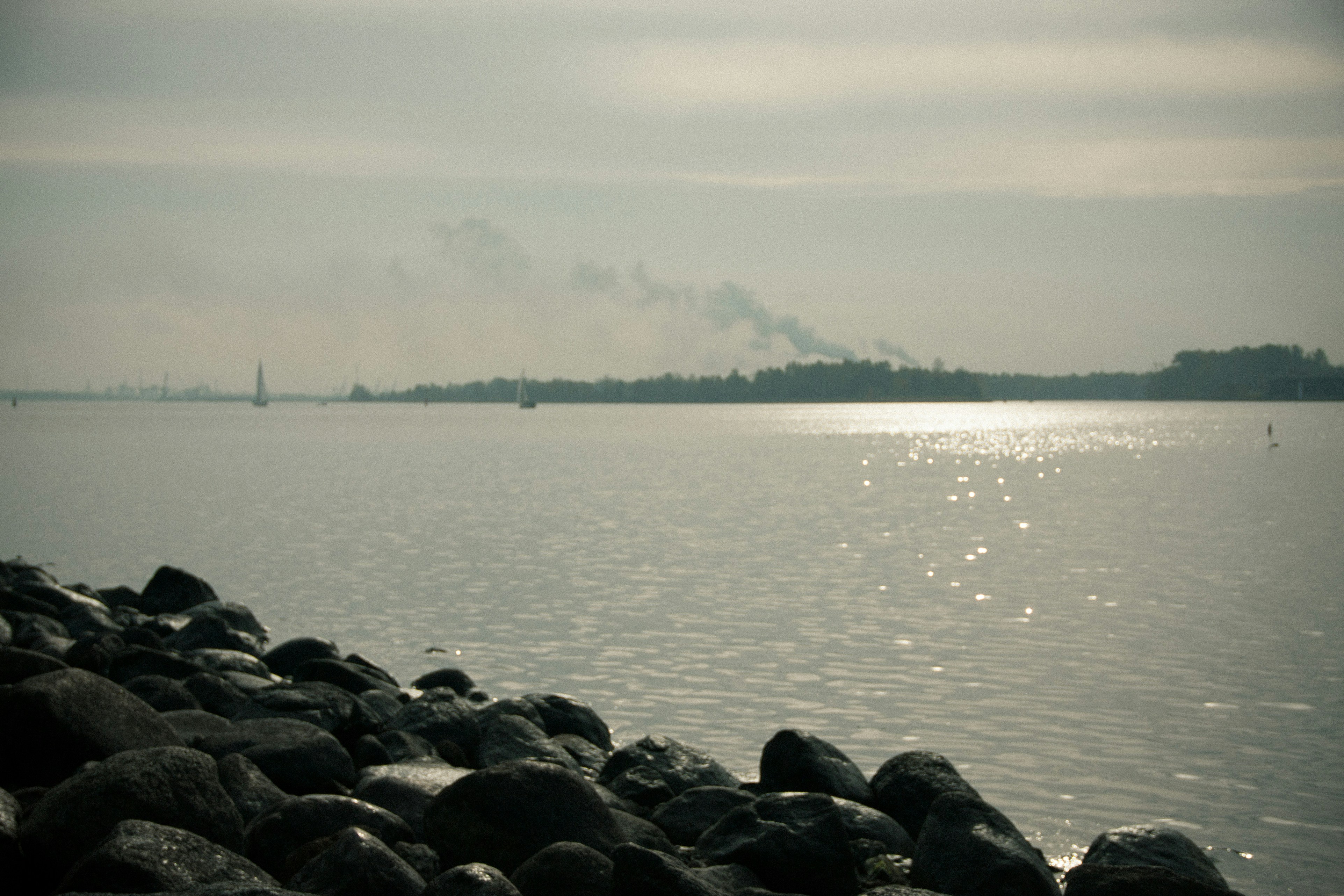 Free Unsplash photo from Maria  Pranka