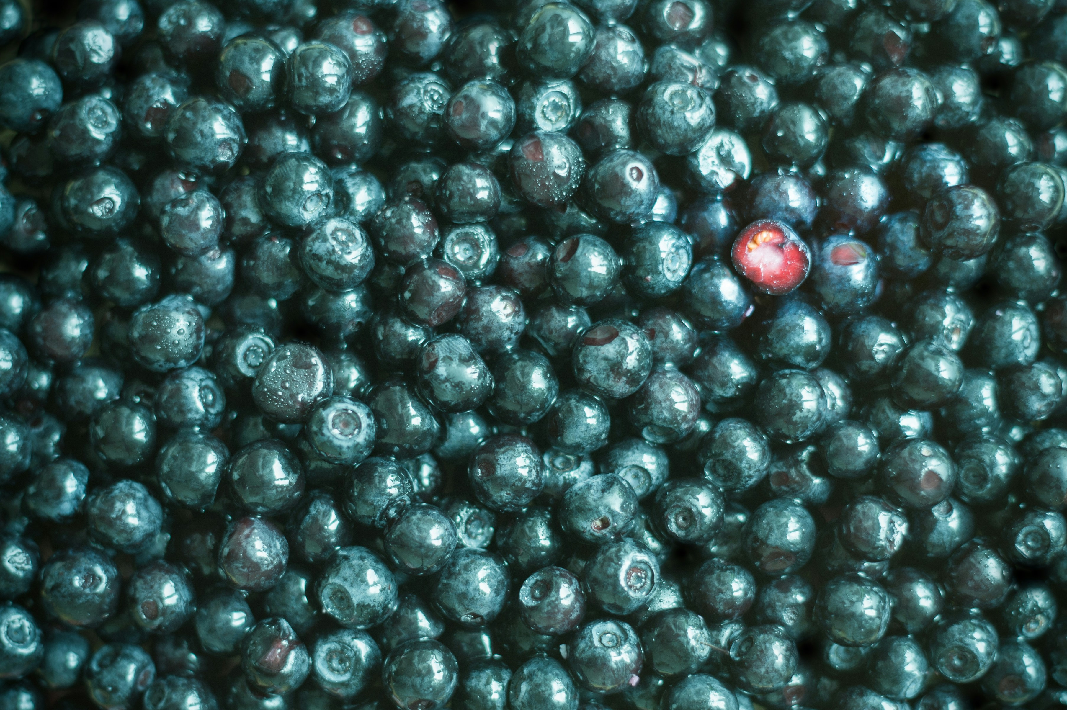 Free Unsplash photo from Maria  Pranka