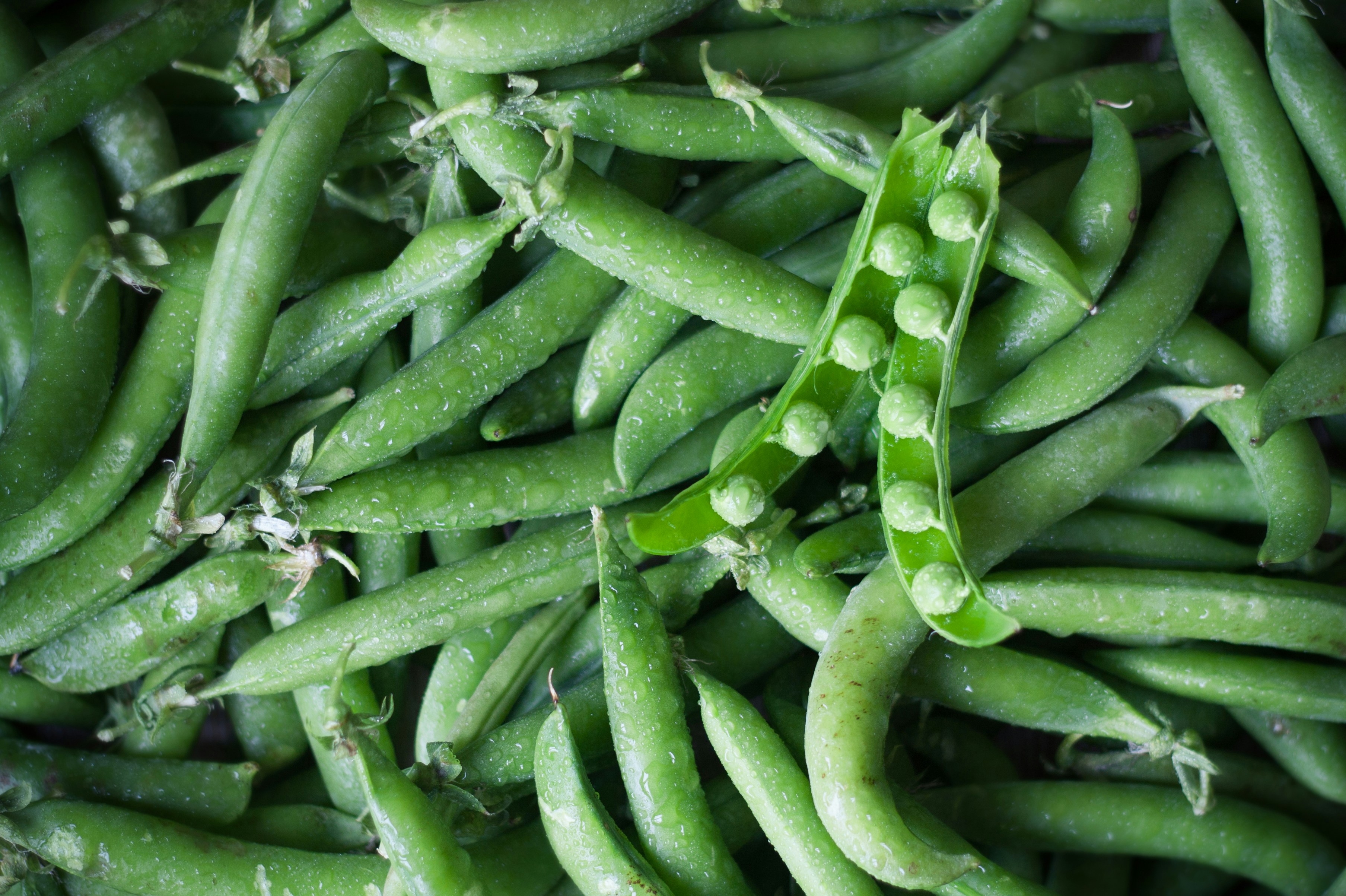 Free Unsplash photo from Maria  Pranka