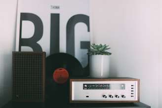 A vintage radio sits on a surface alongside a vinyl record and a small brown speaker. A potted succulent plant is also present. In the background, there is a large poster with the words 'Think Big' in bold black letters.