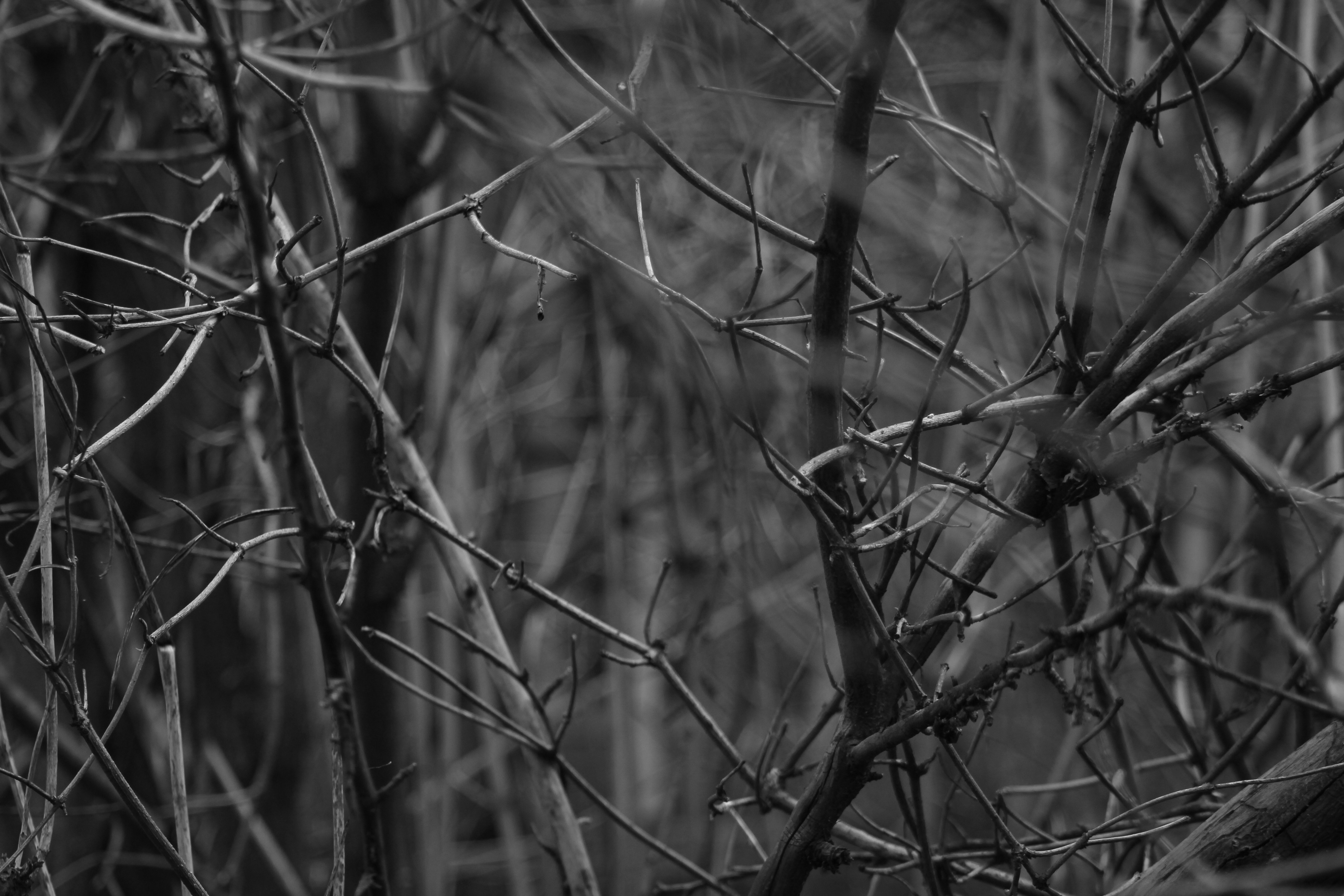 Free Unsplash photo from Muhammet Yılmaz