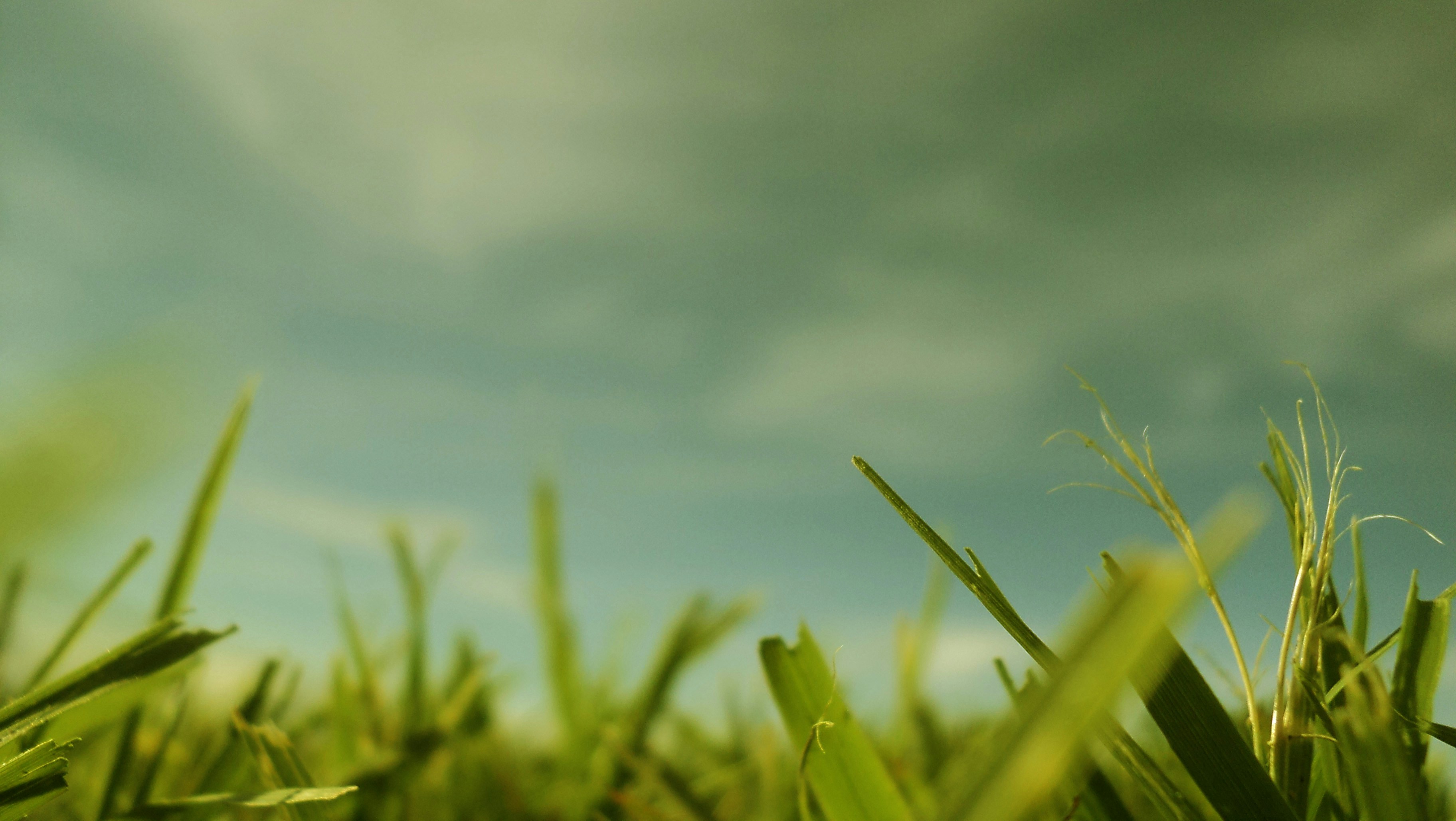 Free Unsplash photo from ANA LUISA ROBLES VELAZQUEZ