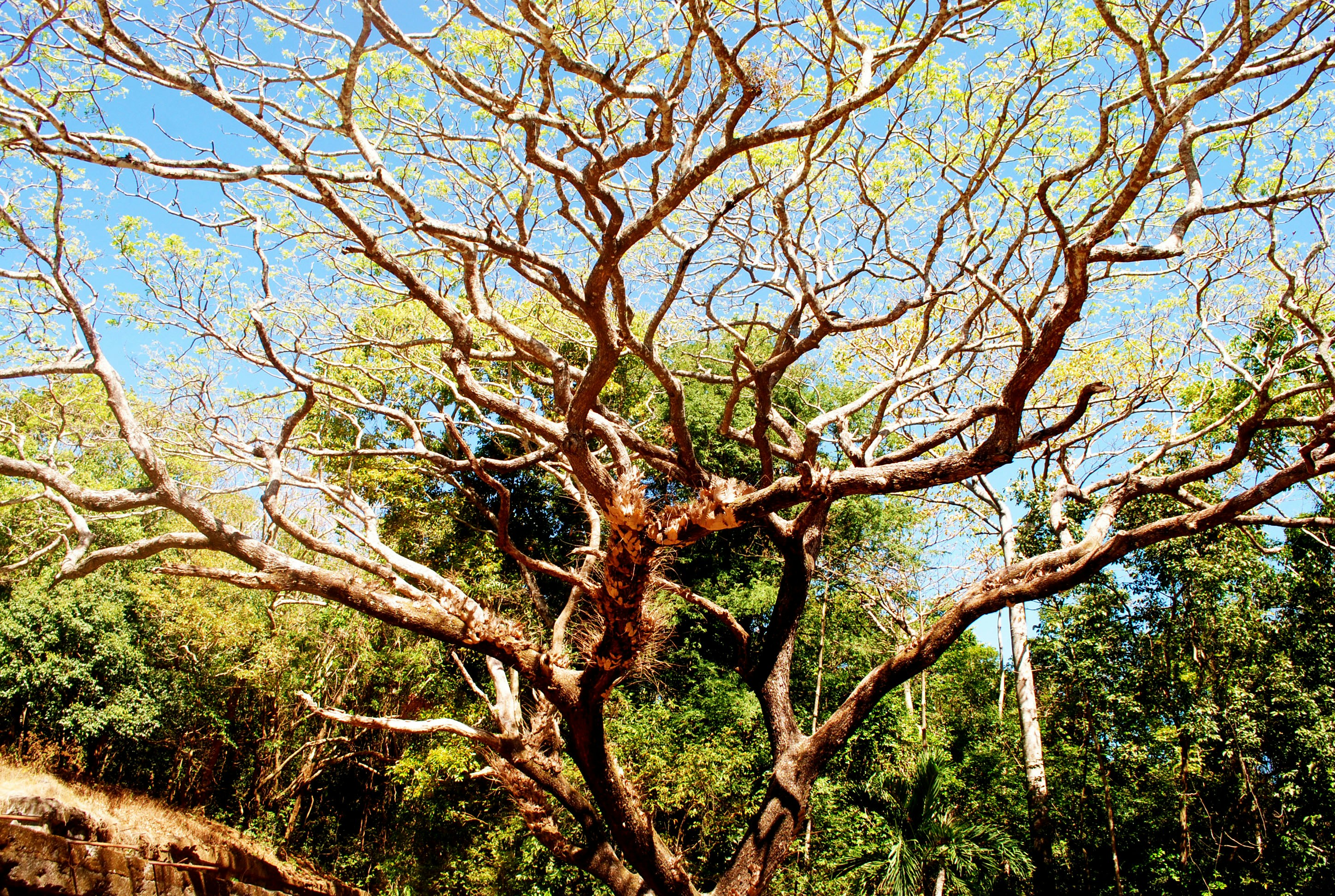 Free Unsplash photo from Ma-ann Mallari