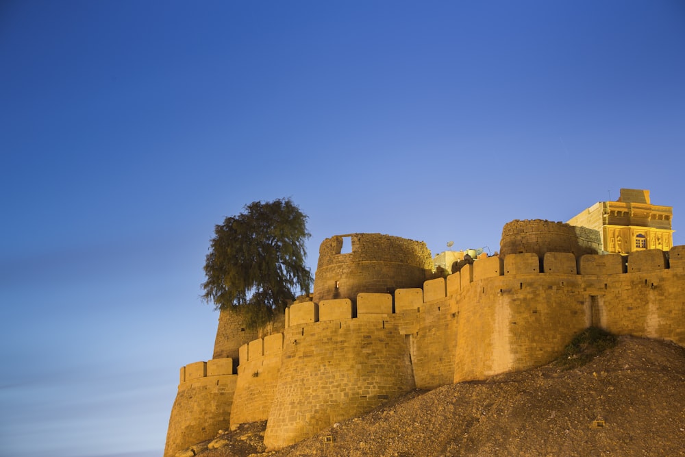 brown concrete castle near tree