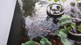 IoT devices installed in a fish pond for water quality and temperature monitoring.