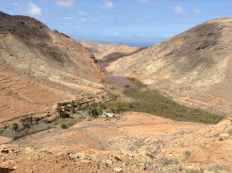 Desert landscape with dunes and an oasis.