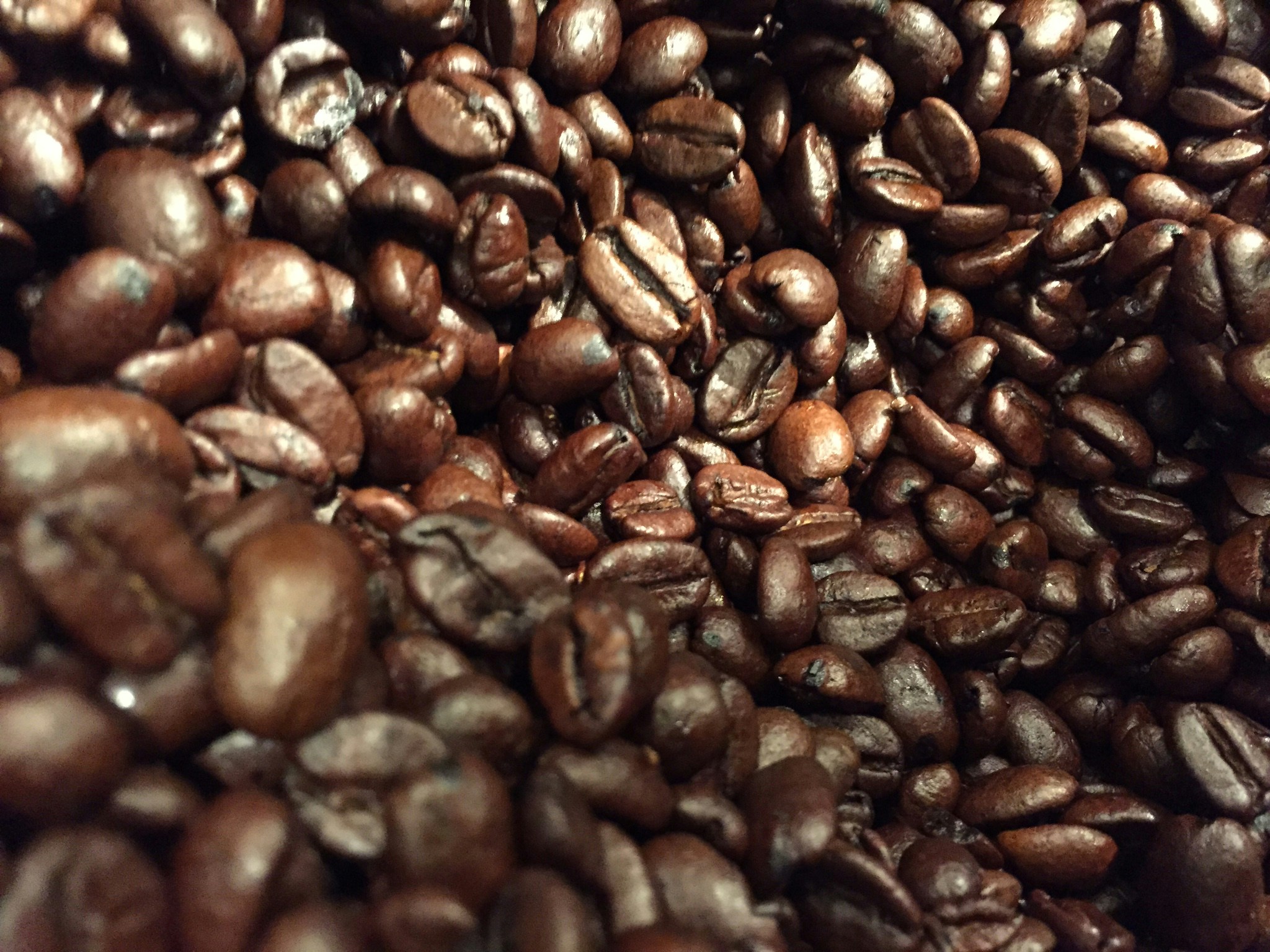 Organic Colombian Coffee Excellence