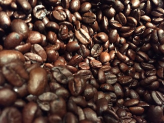 A close-up view of a pile of roasted coffee beans, showcasing their dark brown color and glossy texture. The beans are tightly packed, highlighting their rich, aromatic quality.