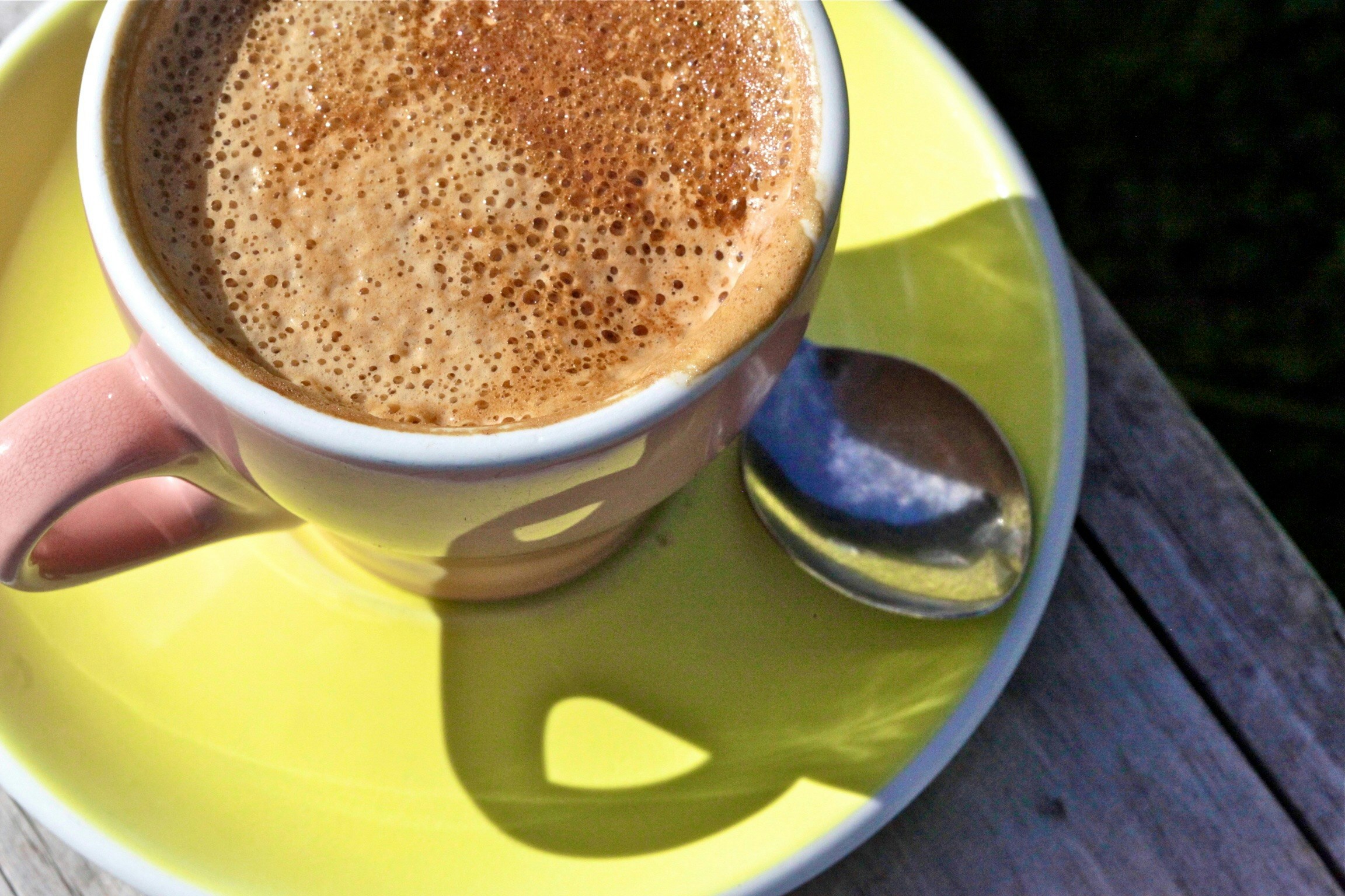 Free Unsplash photo from Fiona Foxall