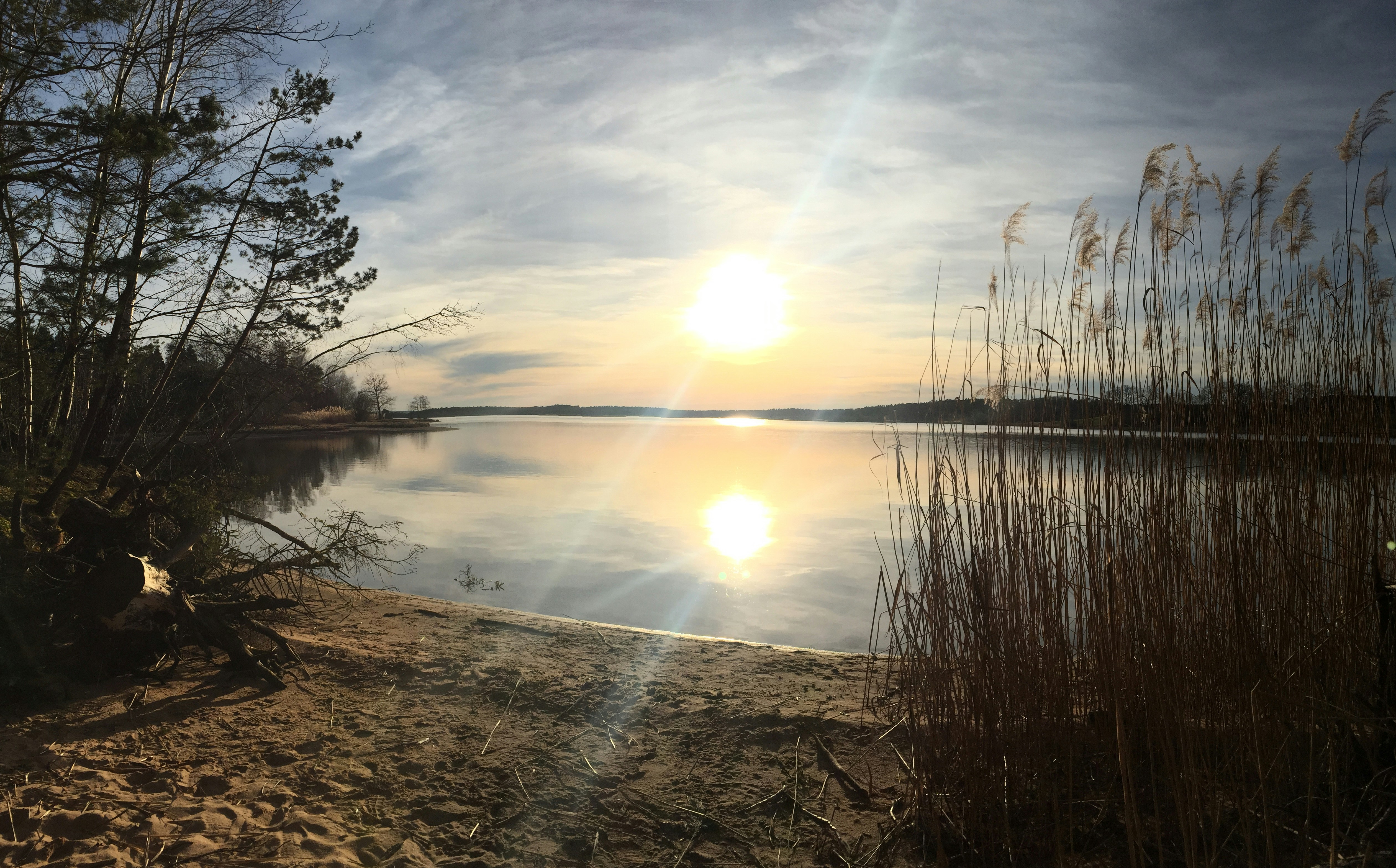 Free Unsplash photo from Robin Vogl