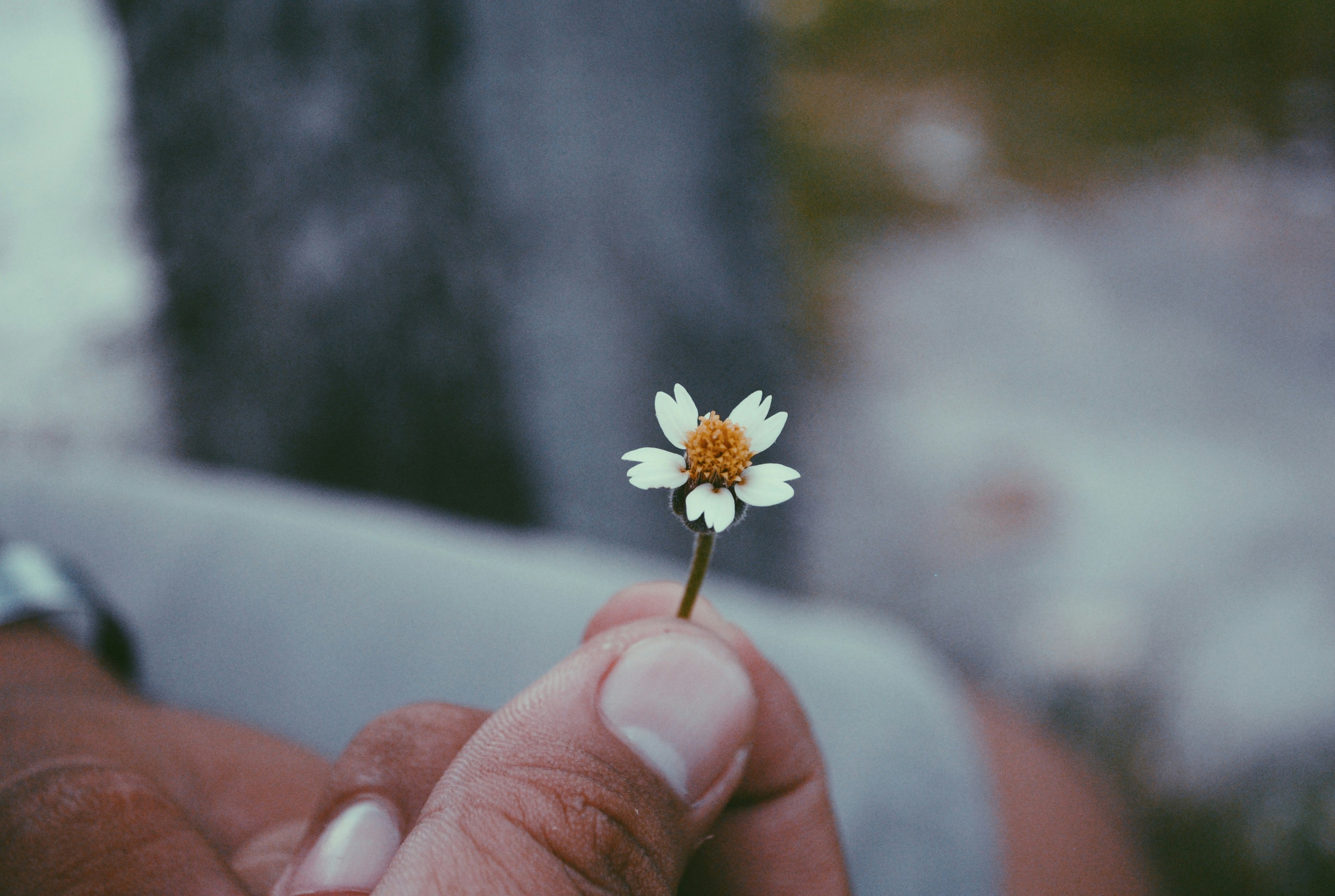 Free Unsplash photo from Ma-ann Mallari