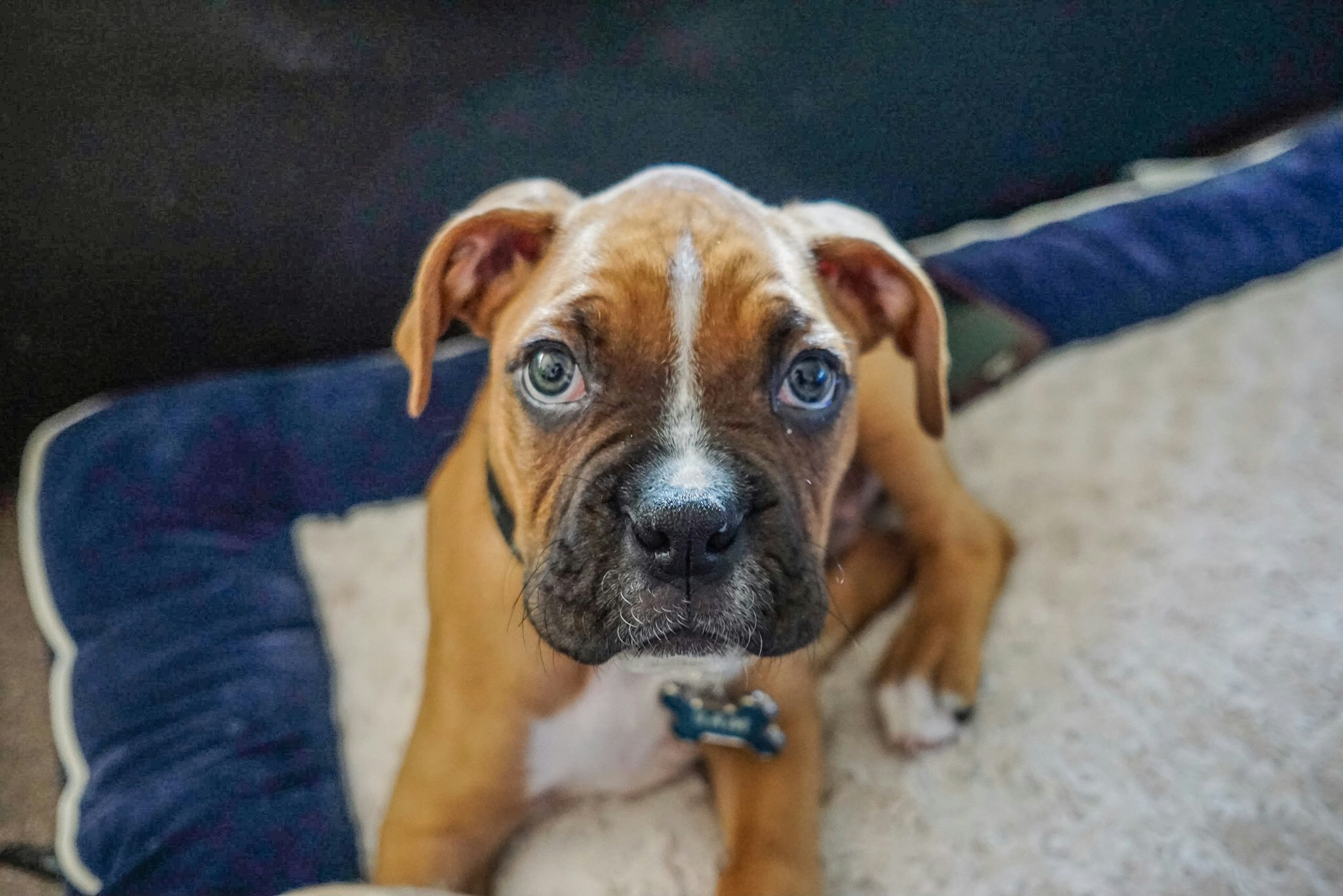 Free Unsplash photo from Cruz Alonzo