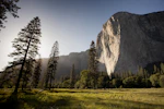 Kern