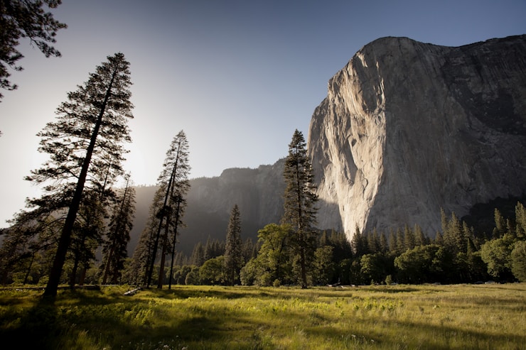 El Capitan on a sunny afternoon