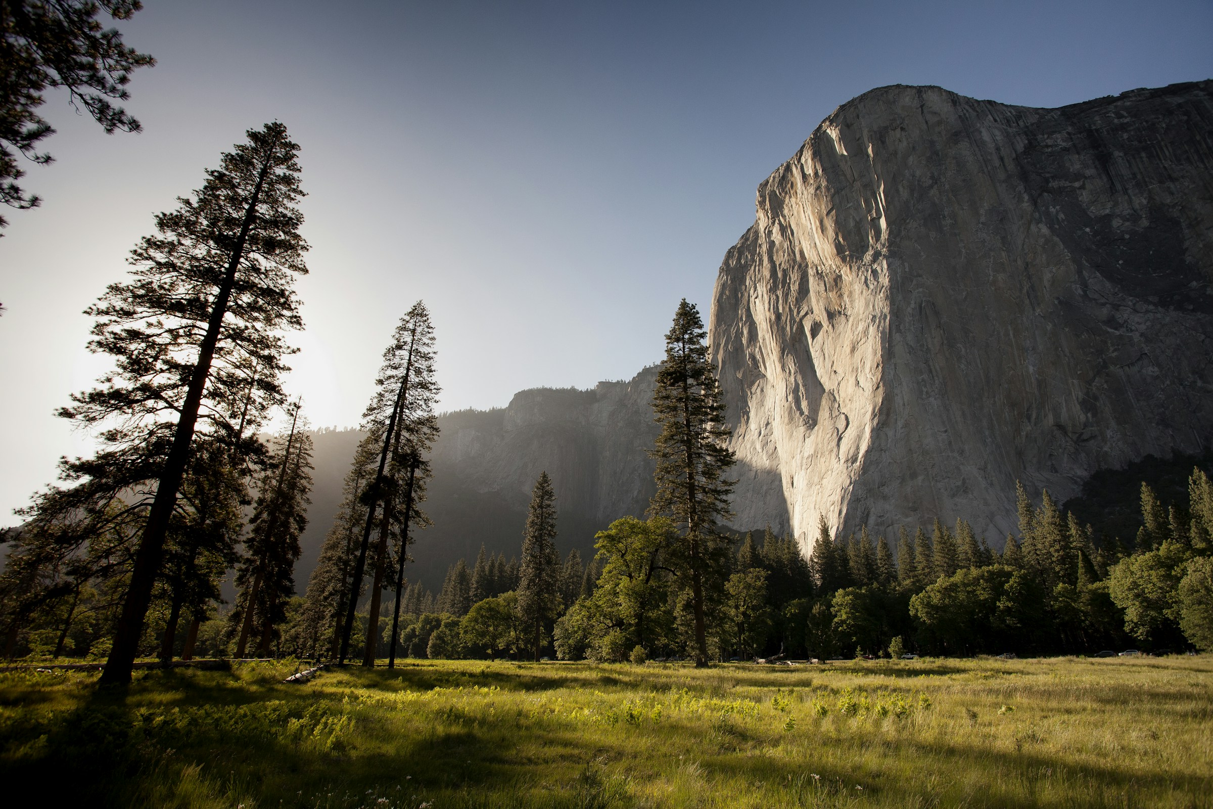 Alpine meadow