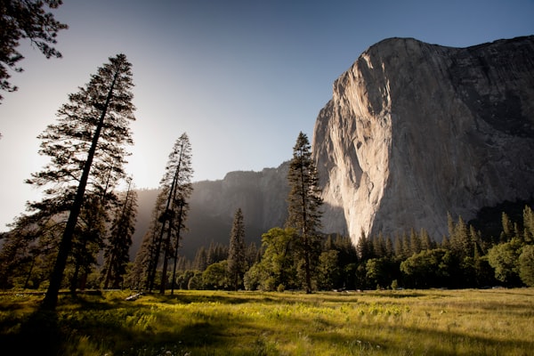 3 finger drag option in osX el Capitan