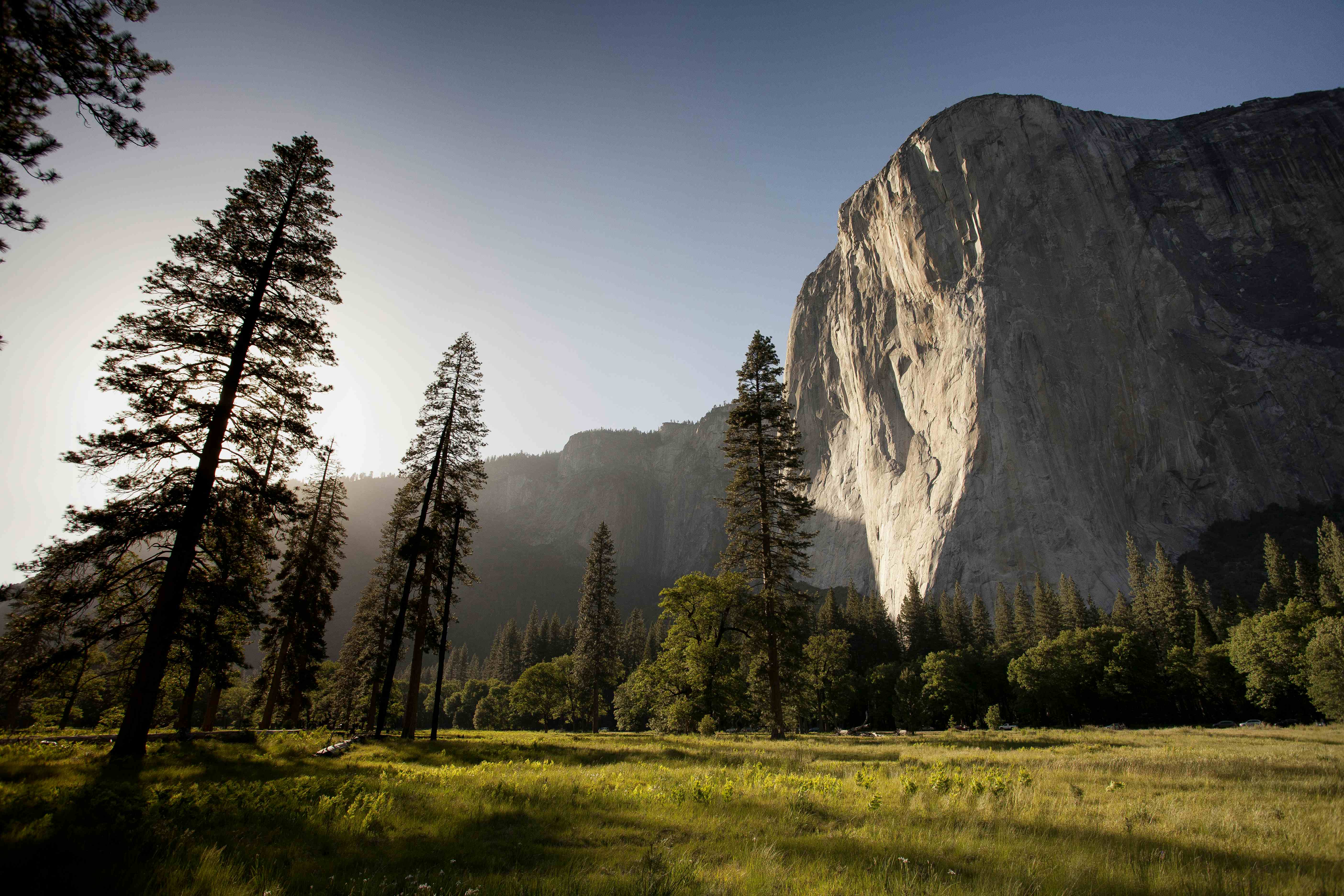 The sun shines on the mountains and trees (by Adam Kool on Unsplash)