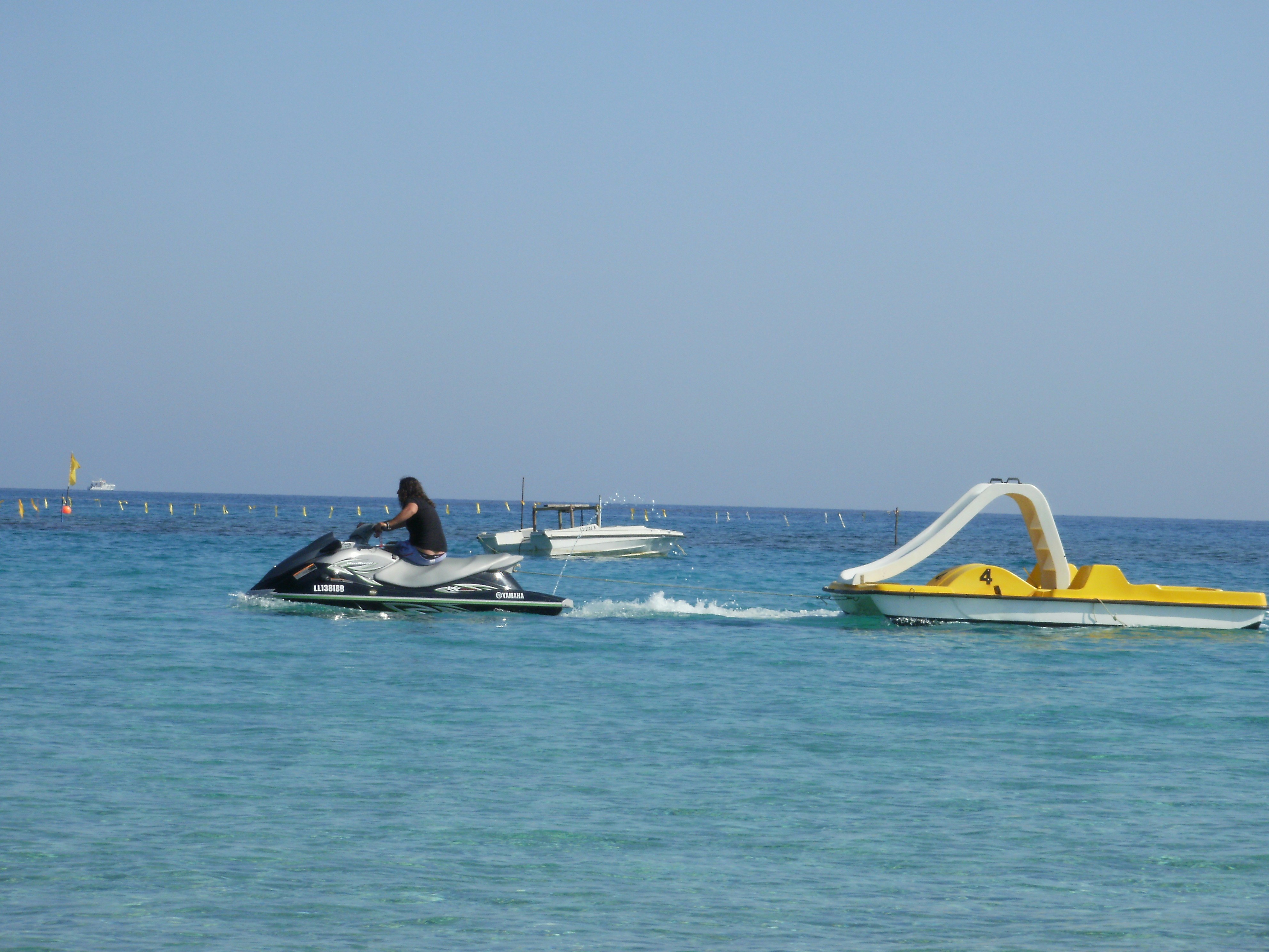 Free Unsplash photo from Enda McLarnon