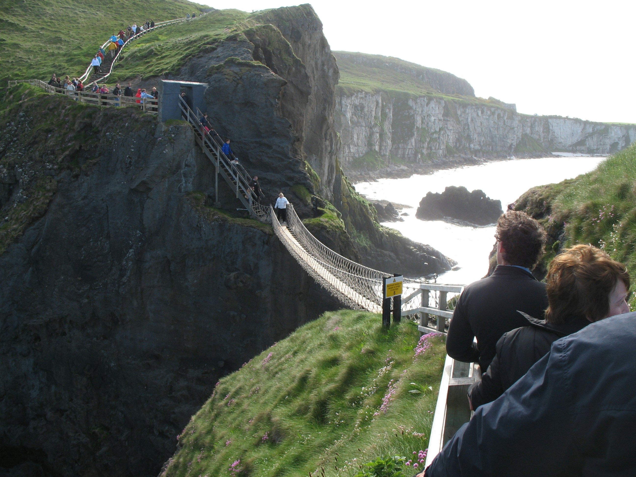 Free Unsplash photo from Enda McLarnon