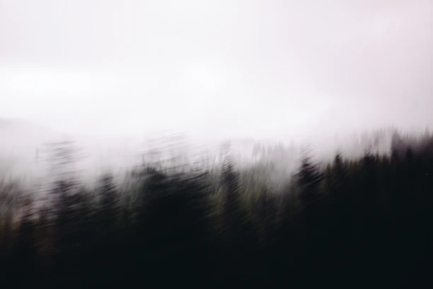 A close-up of a DVD case featuring a mysterious Bigfoot silhouette in a misty forest.