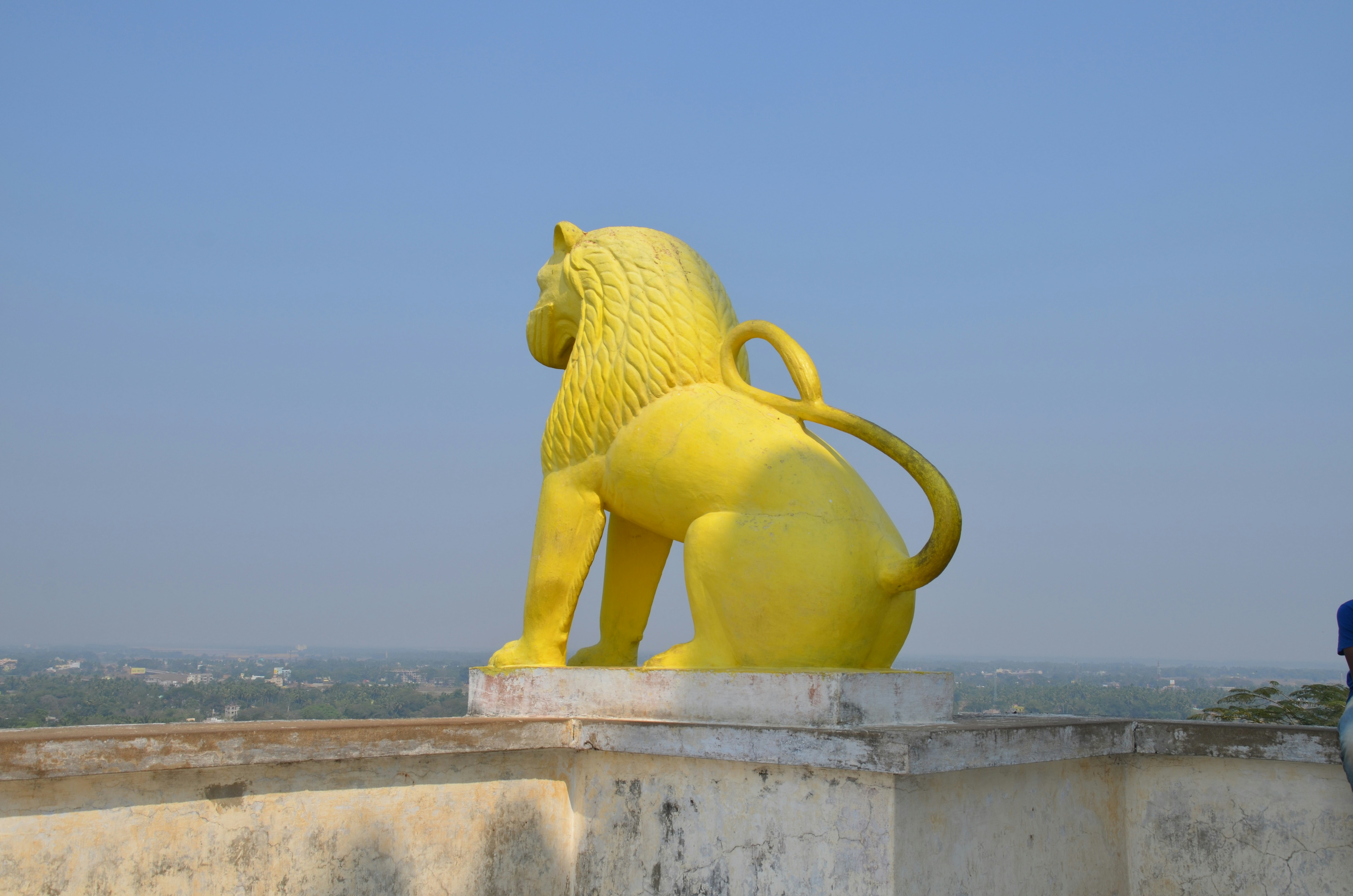 Free Unsplash photo from sumit_0786