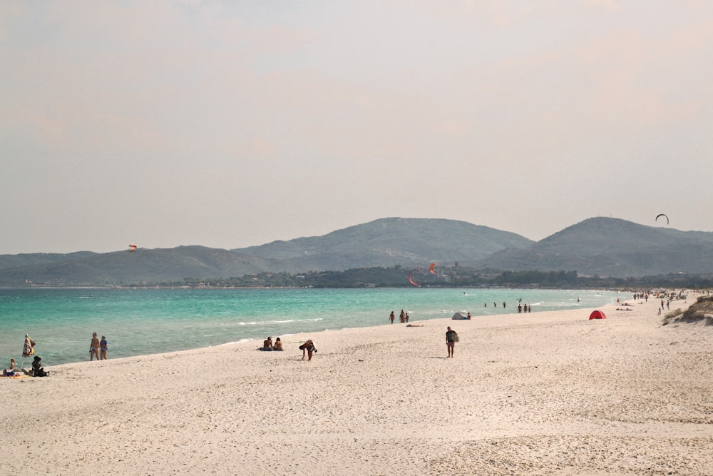 people on beach during daytime