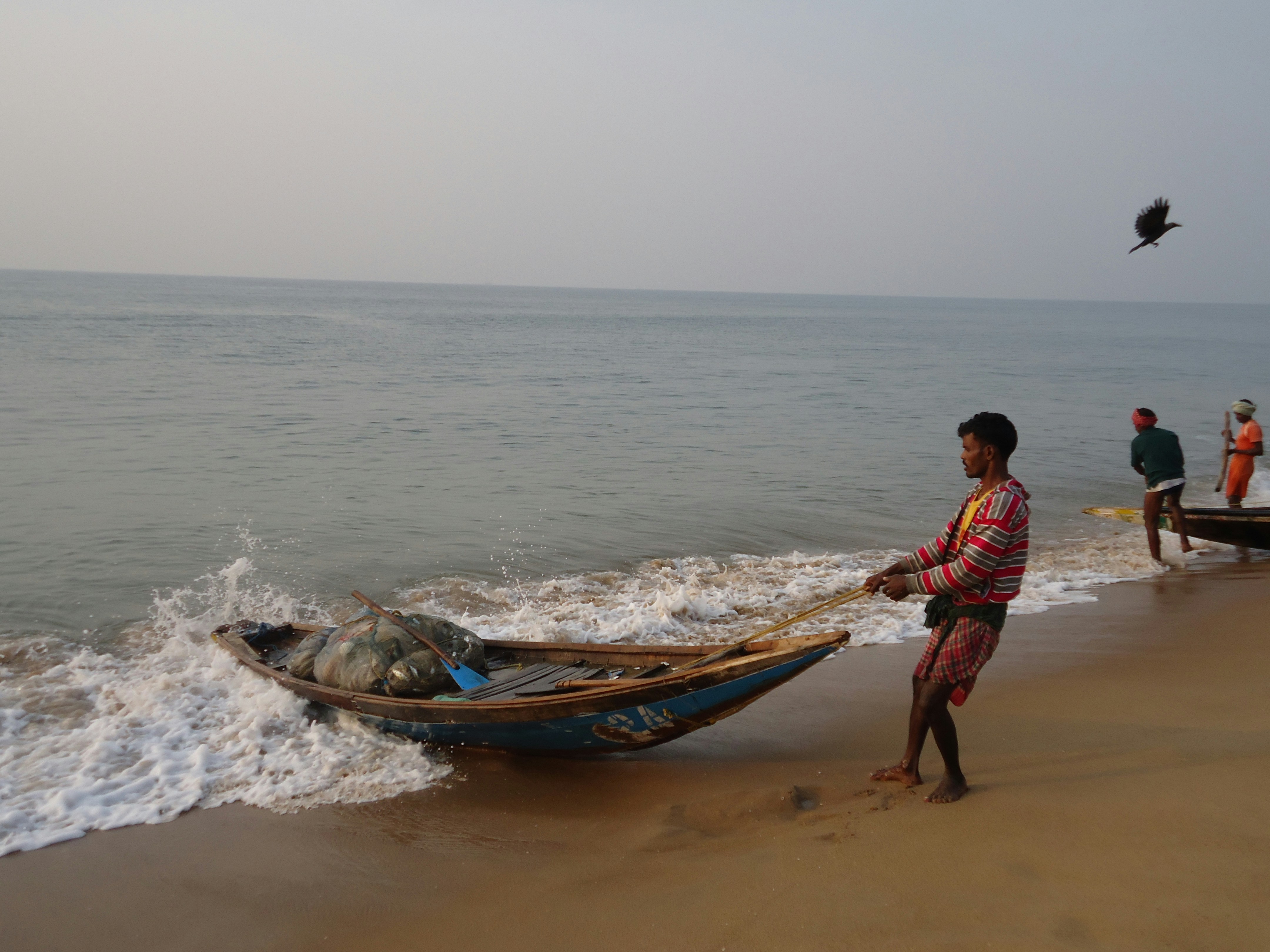 Free Unsplash photo from sumit_0786