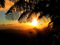 Sunset over the Blue Mountains casting golden light on lush greenery.