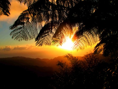 Sunset over the Blue Mountains casting golden light on lush green hills.