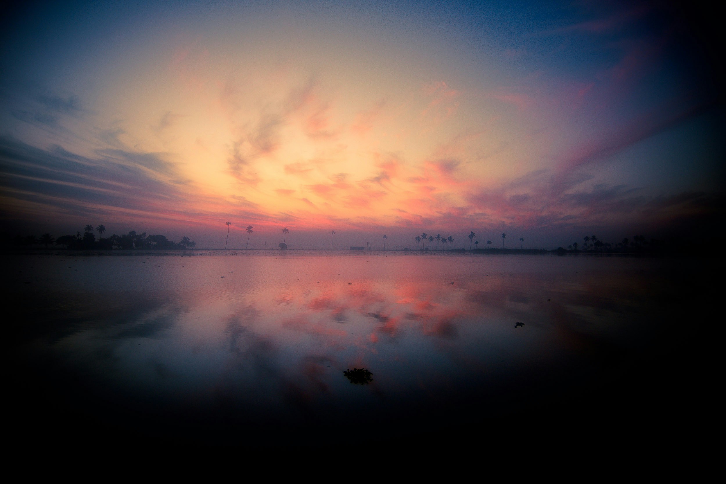 Free Unsplash photo from Sholto Ramsay