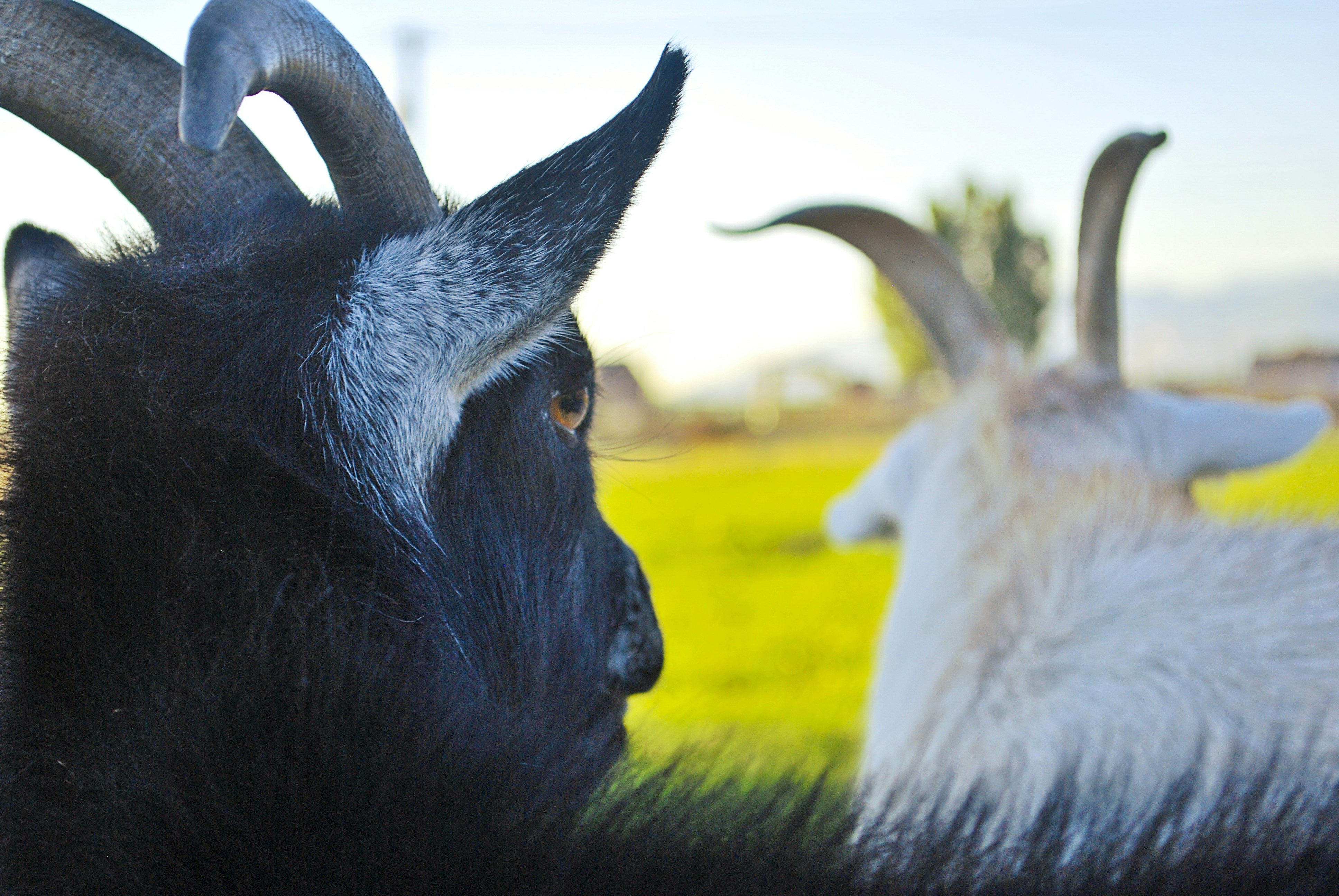 Free Unsplash photo from Peter Kogut