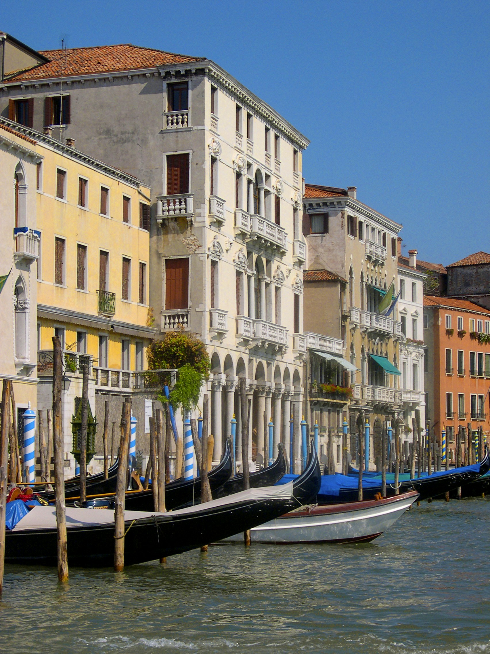 Free Unsplash photo from Peter Kogut