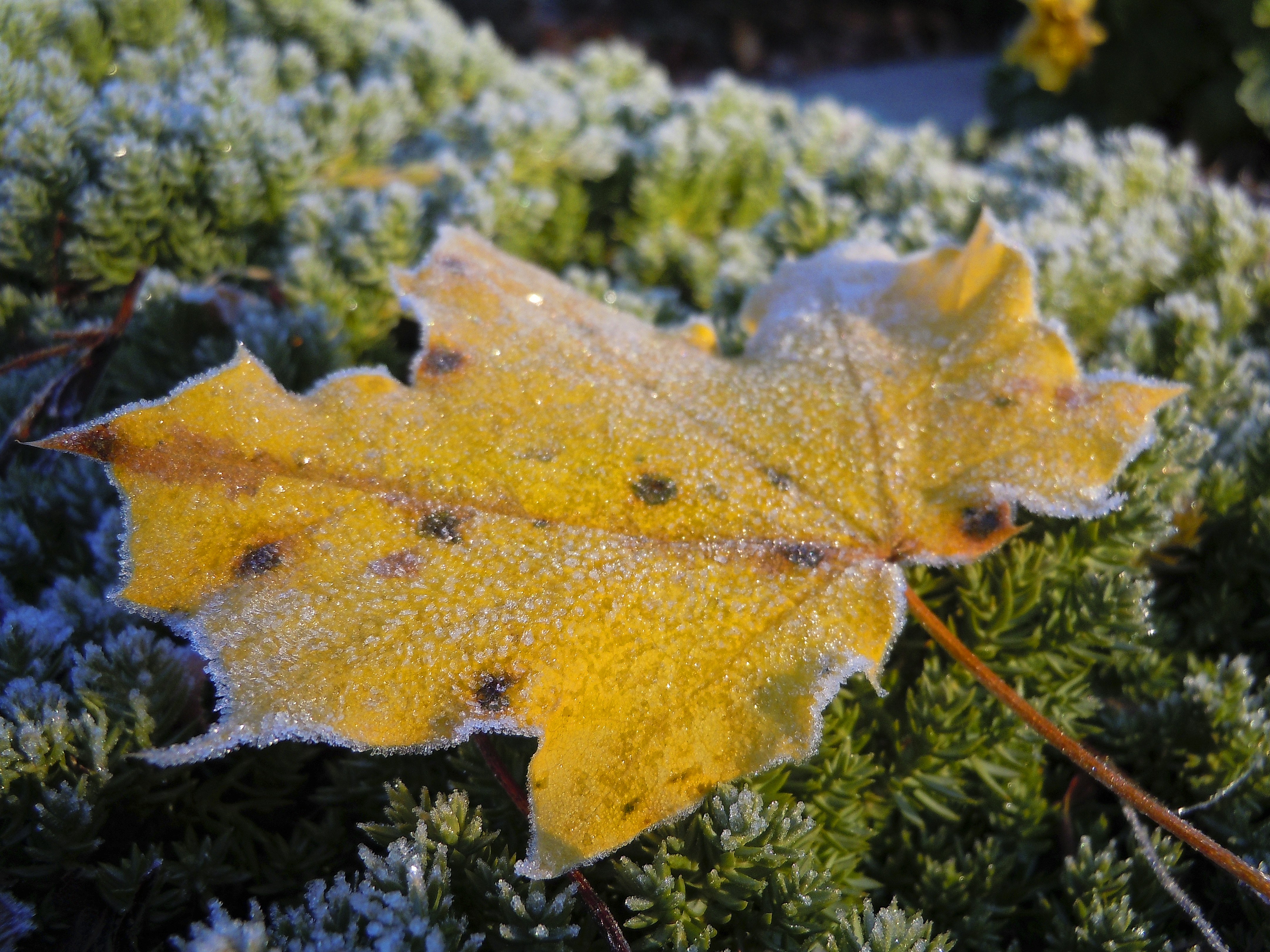 Free Unsplash photo from Peter Kogut