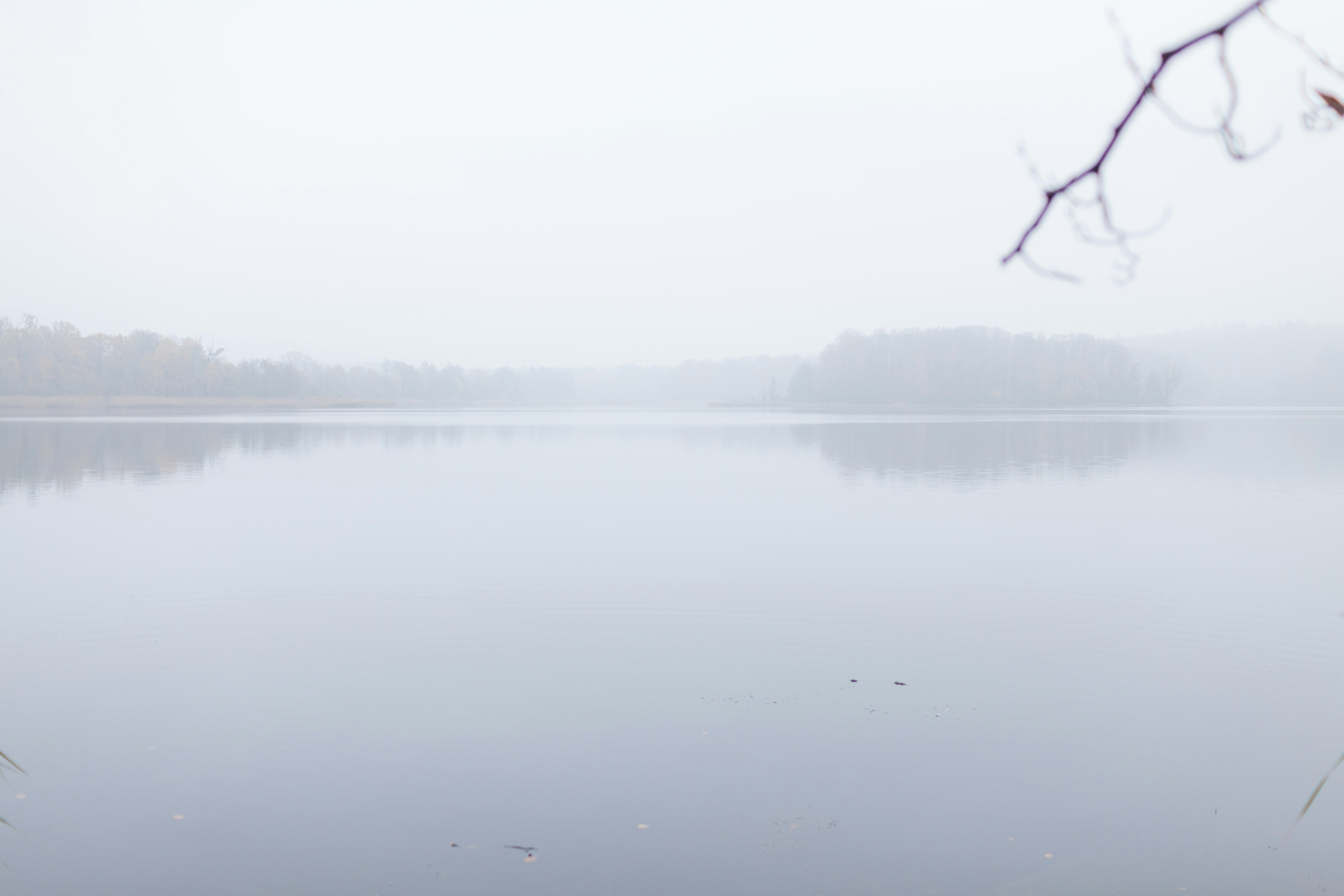 Free Unsplash photo from Piotr Biegaj