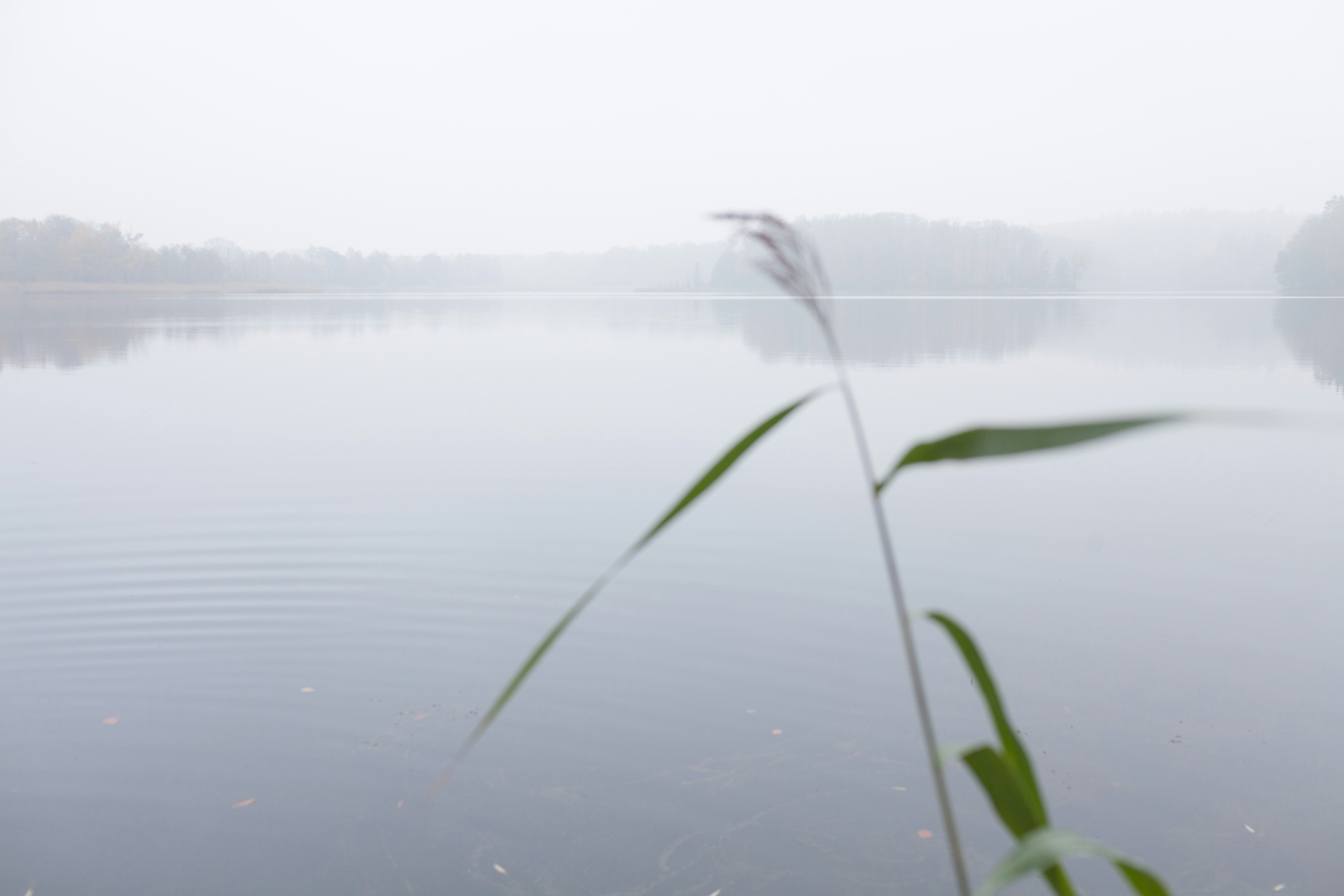 Free Unsplash photo from Piotr Biegaj