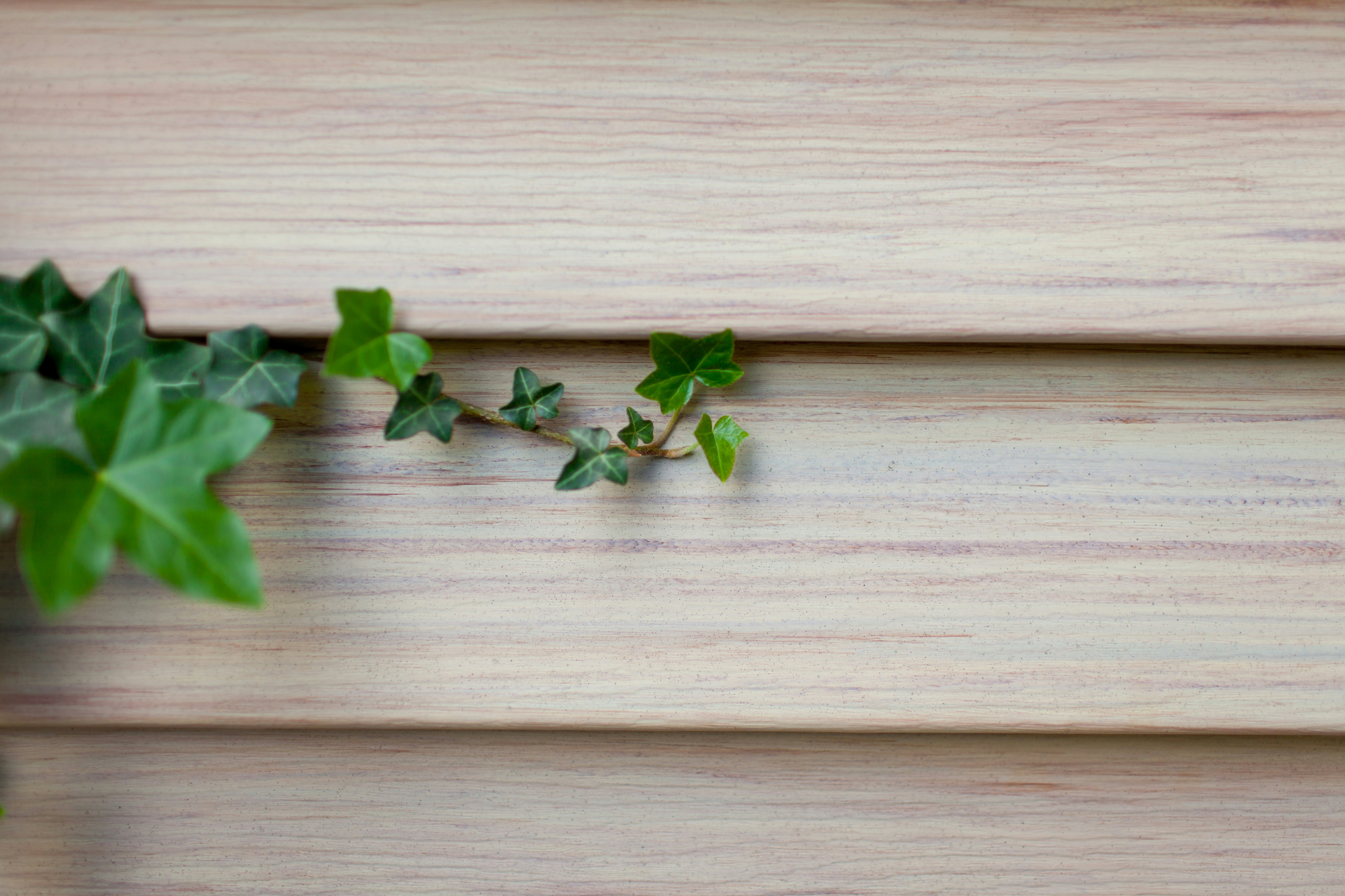 Free Unsplash photo from Piotr Biegaj