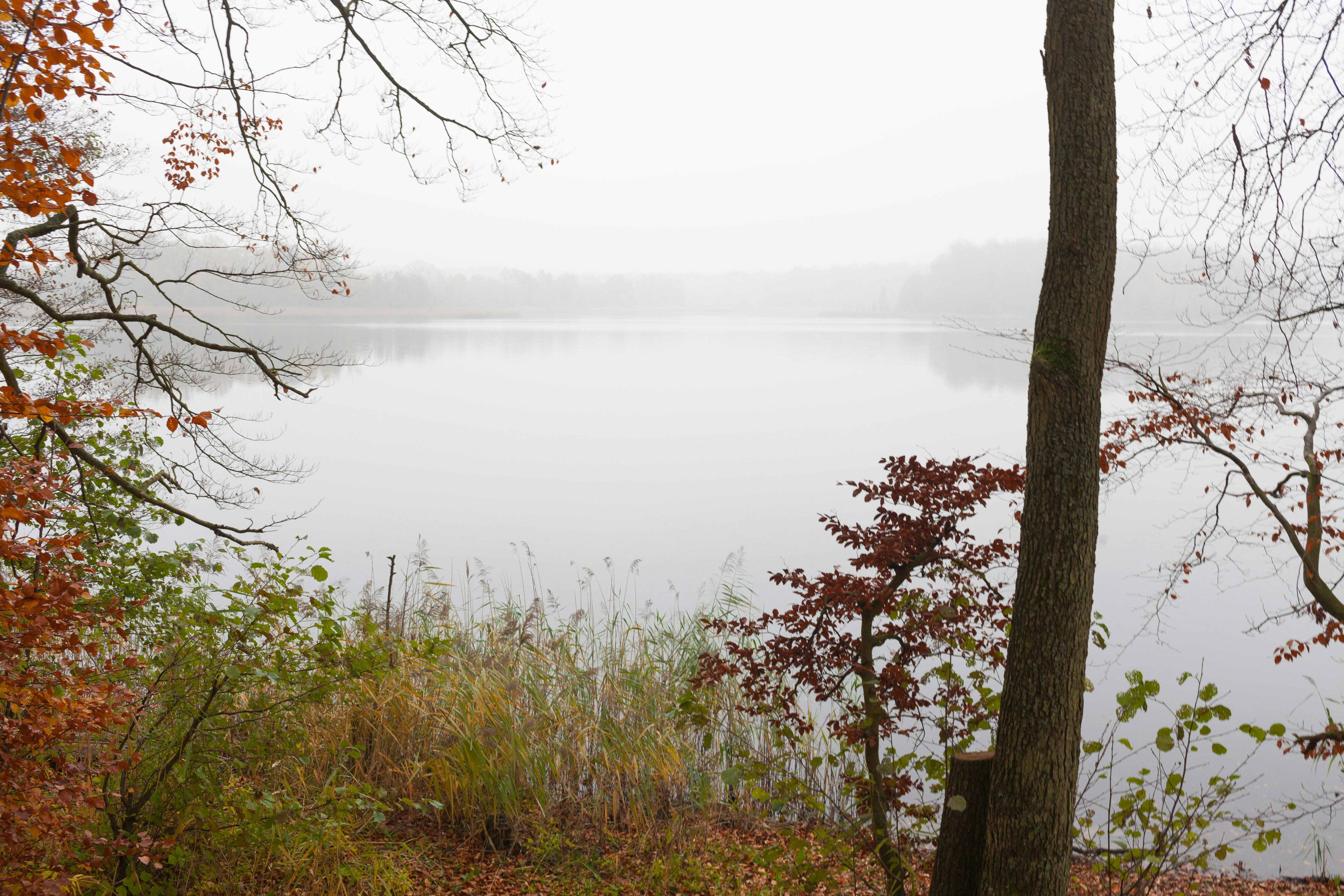 Free Unsplash photo from Piotr Biegaj