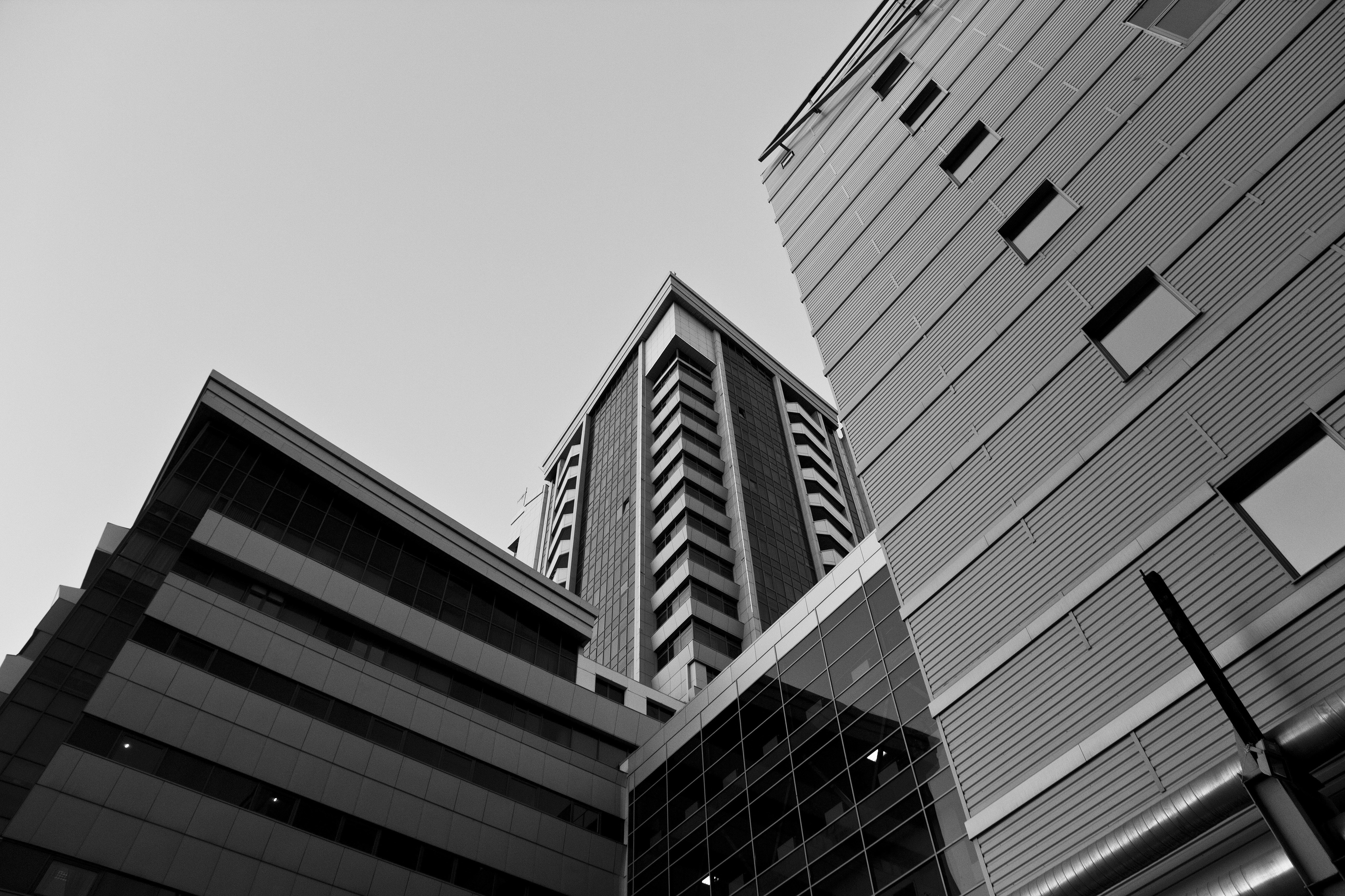 Free Unsplash photo from Alex Kopytov