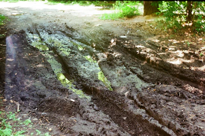 Close-up of a muddy ATV tire leaving tracks on a dirt path surrounded by greenery