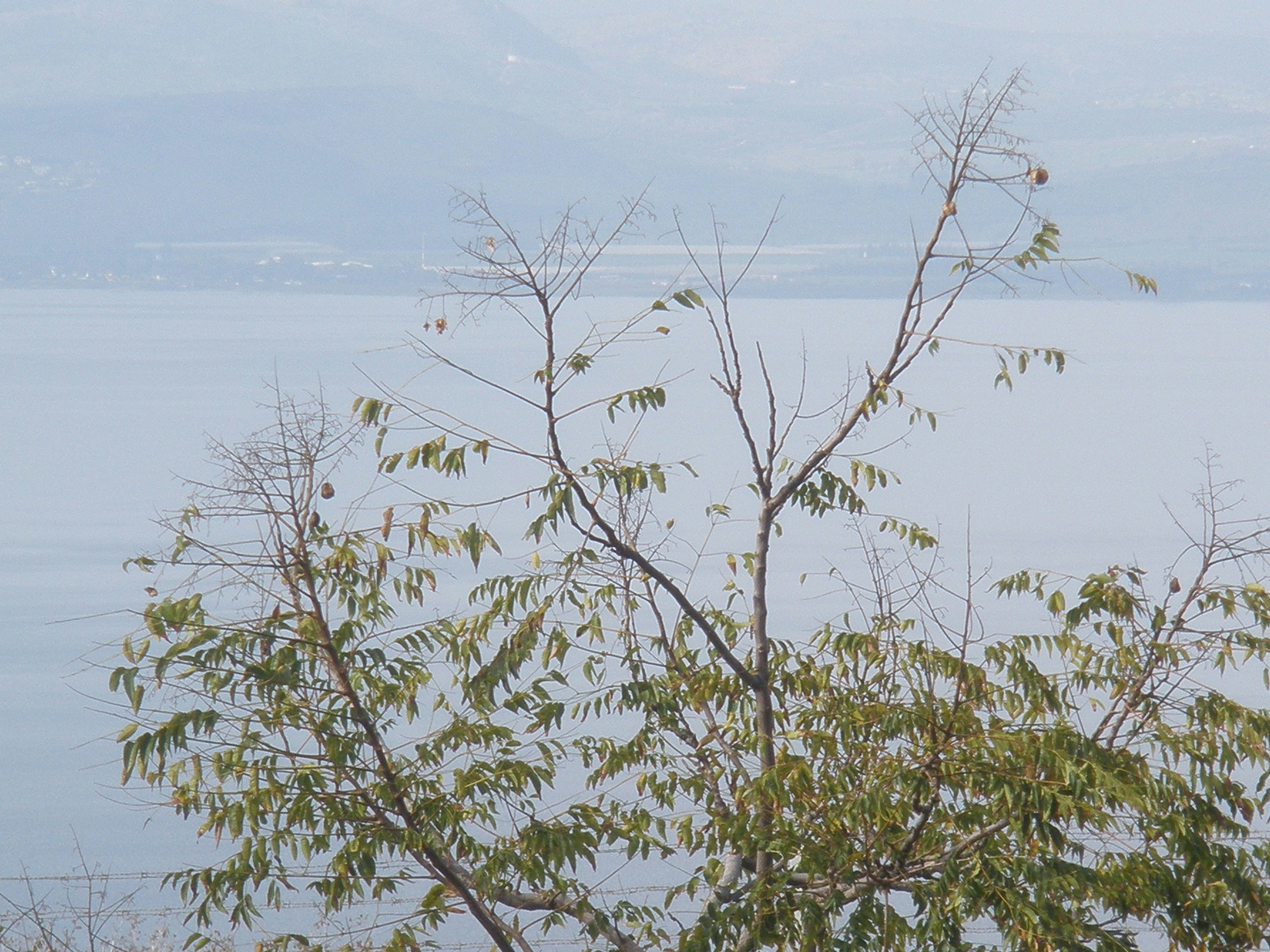 Free Unsplash photo from Liraz Ben-moshe