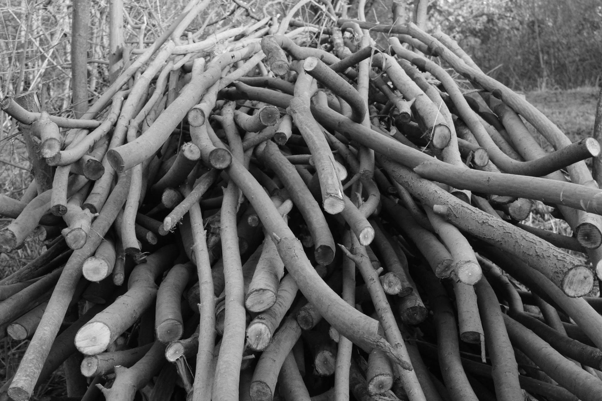 Free Unsplash photo from Christopher Young