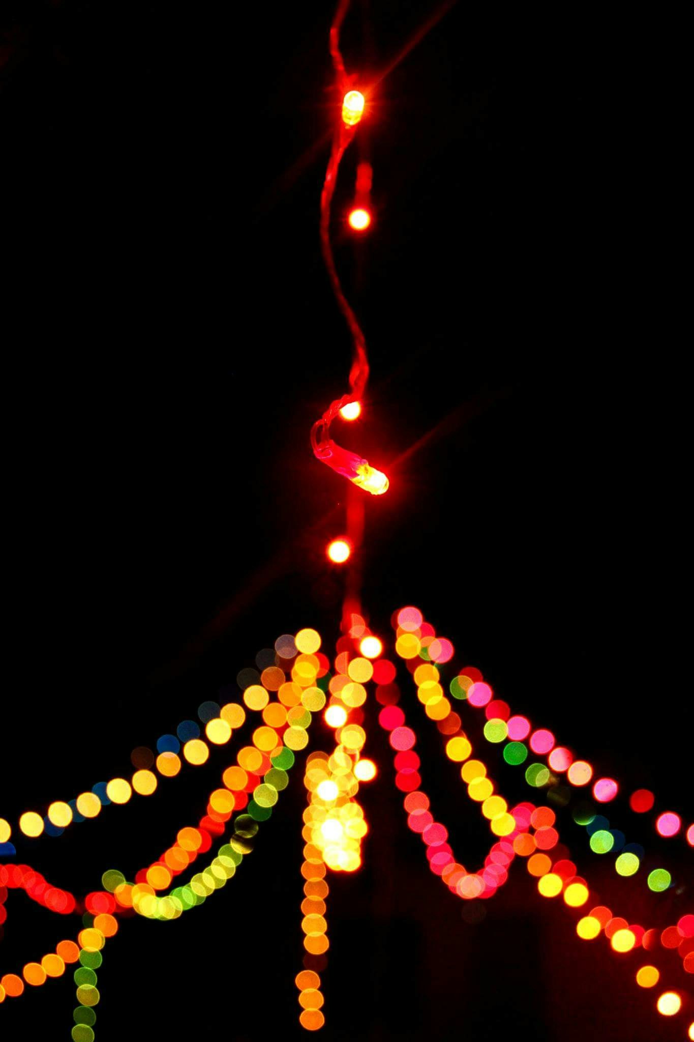 Free Unsplash photo from Arun George