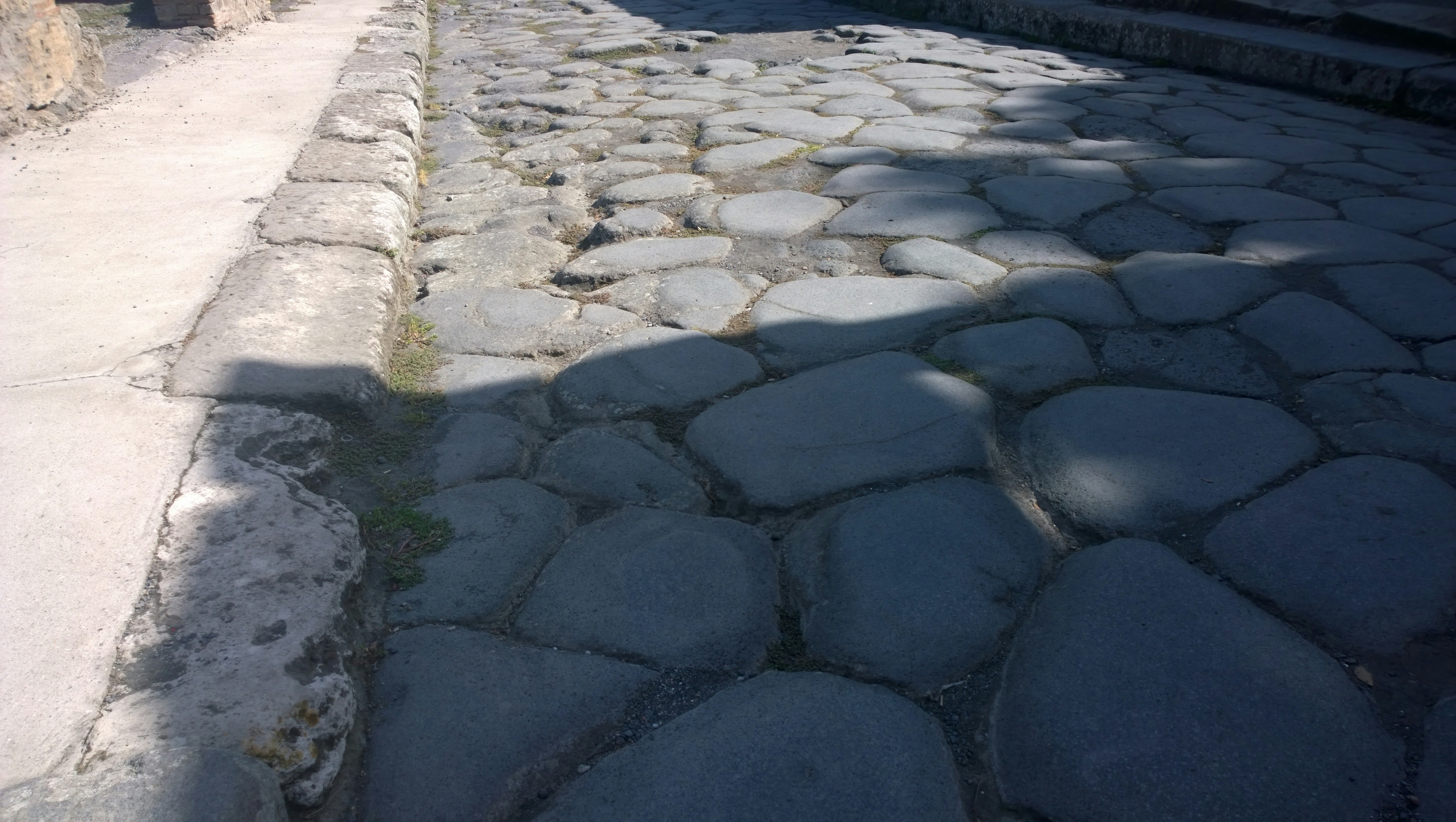 Free Unsplash photo from Fedor Ananin