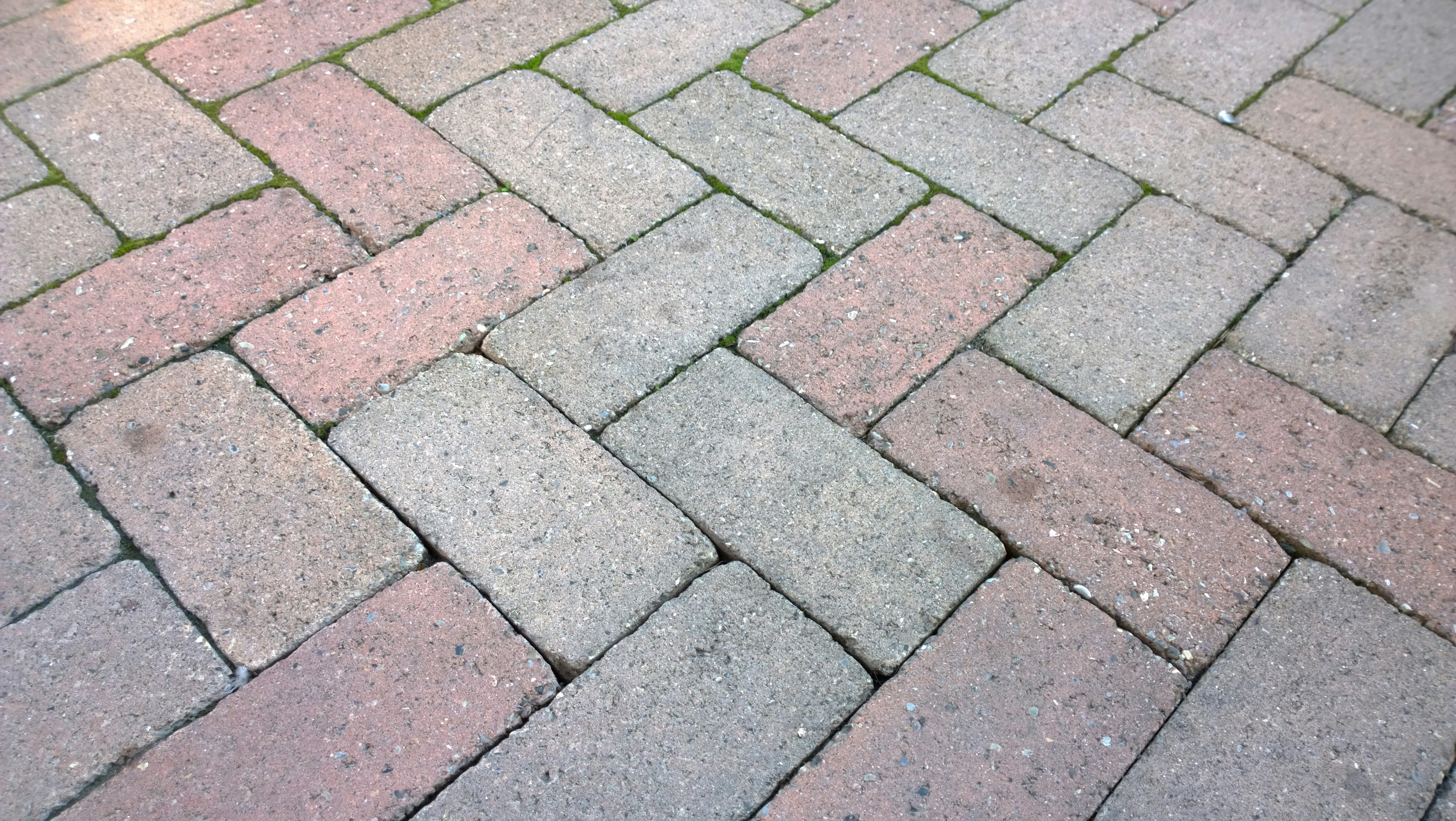 Free Unsplash photo from Fedor Ananin