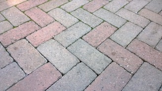 A close-up view of an interlocking brick pavement with a herringbone pattern. The bricks are a mix of gray and red colors, and there are small patches of green moss or grass growing between some of the bricks.