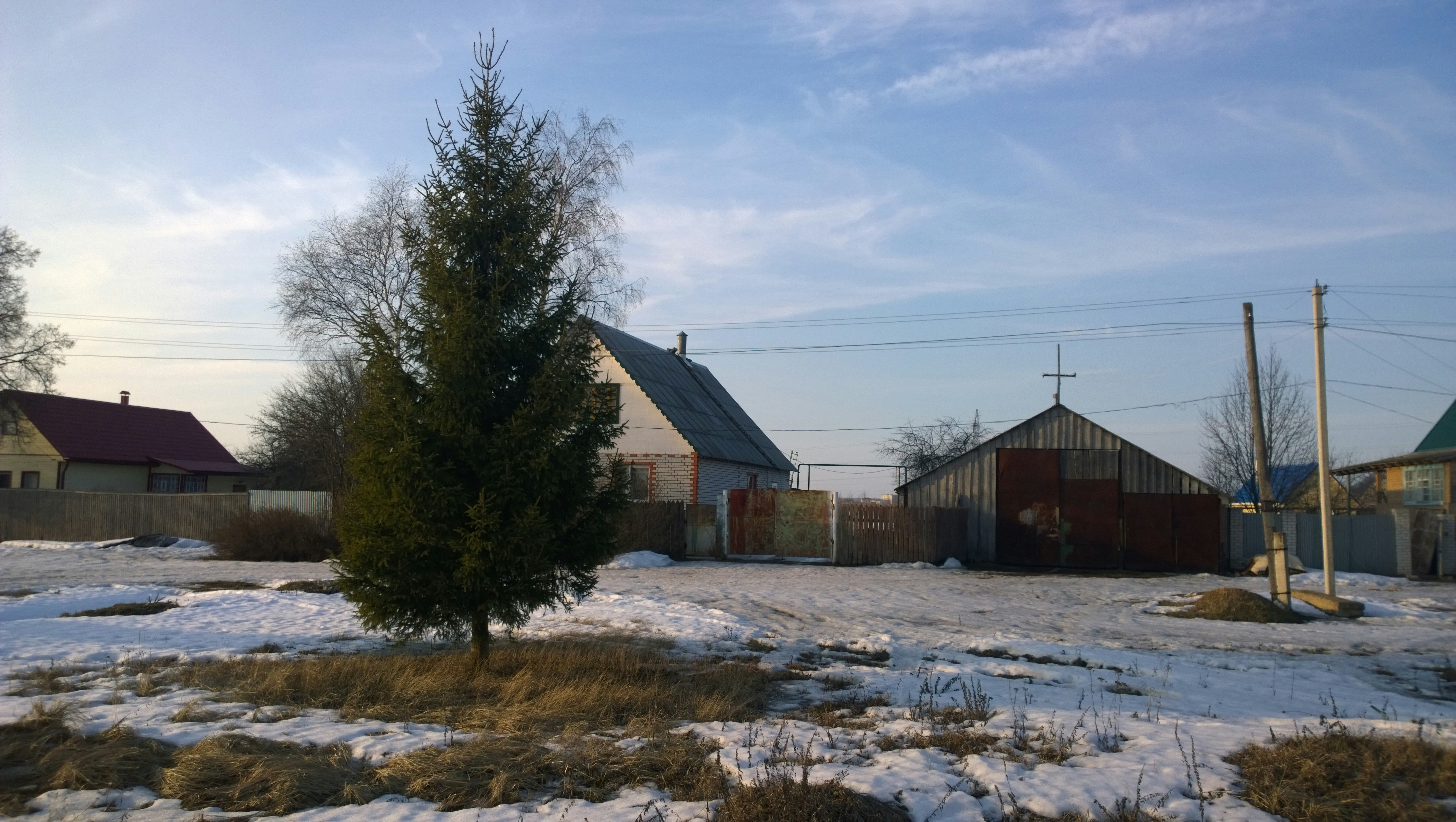 Free Unsplash photo from Fedor Ananin