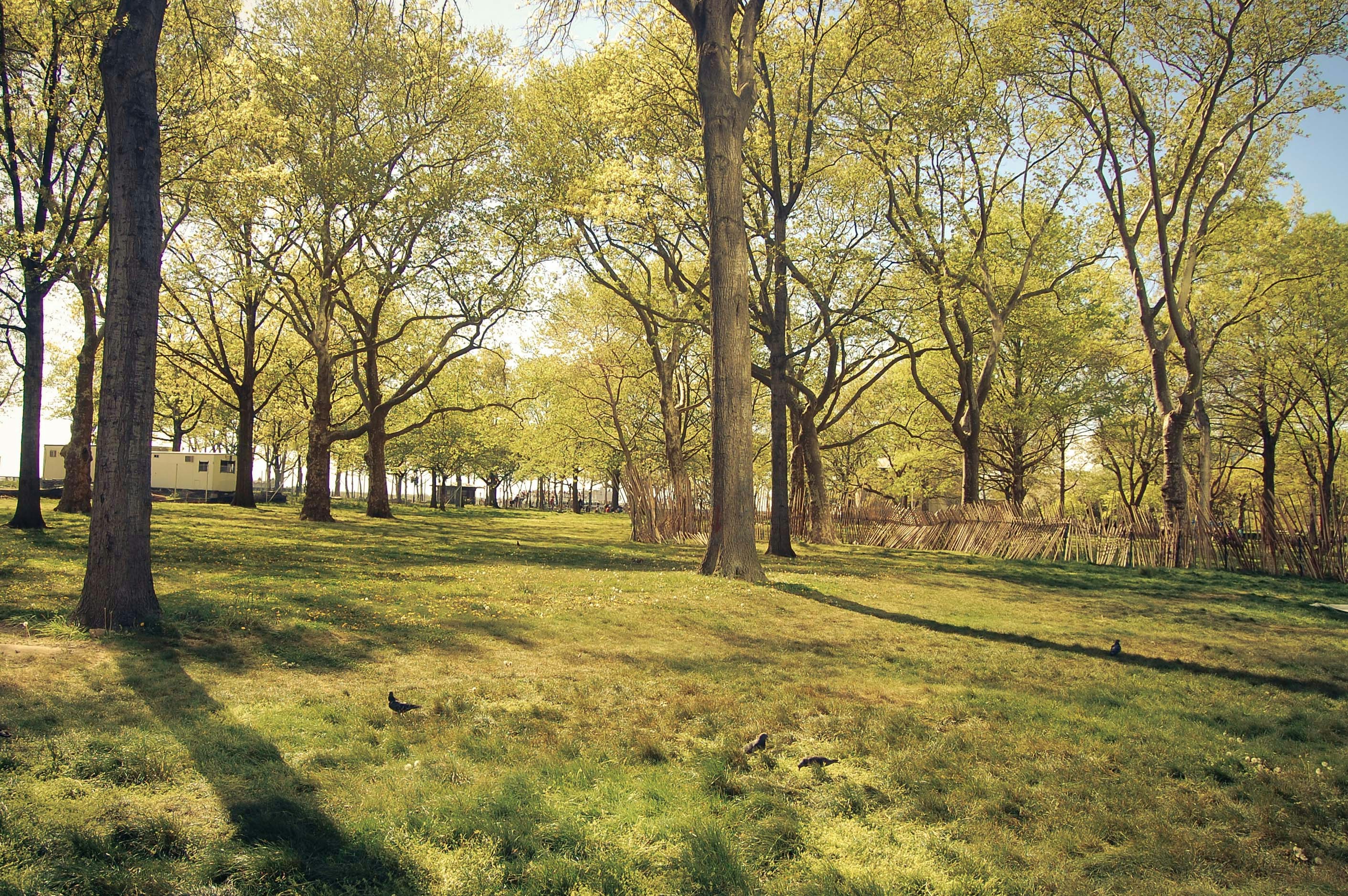 Free Unsplash photo from Bruno Soares