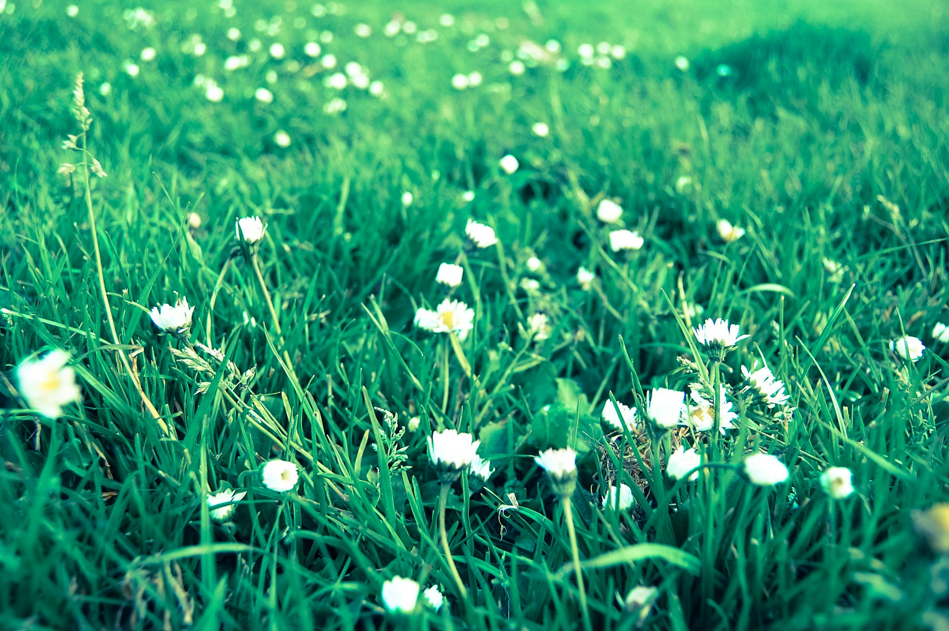 Free Unsplash photo from Bruno Soares